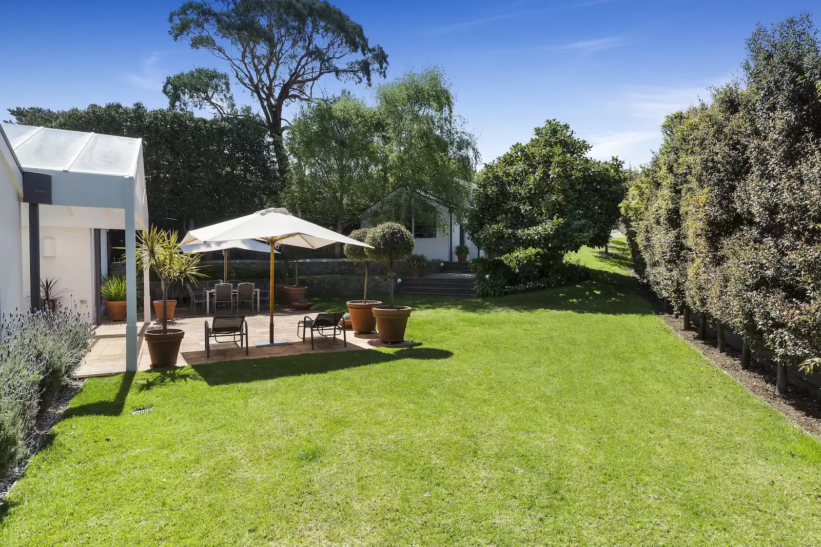 21 Greenwood Avenue, Sorrento Sold by Melbourne Sotheby's International Realty - image 12