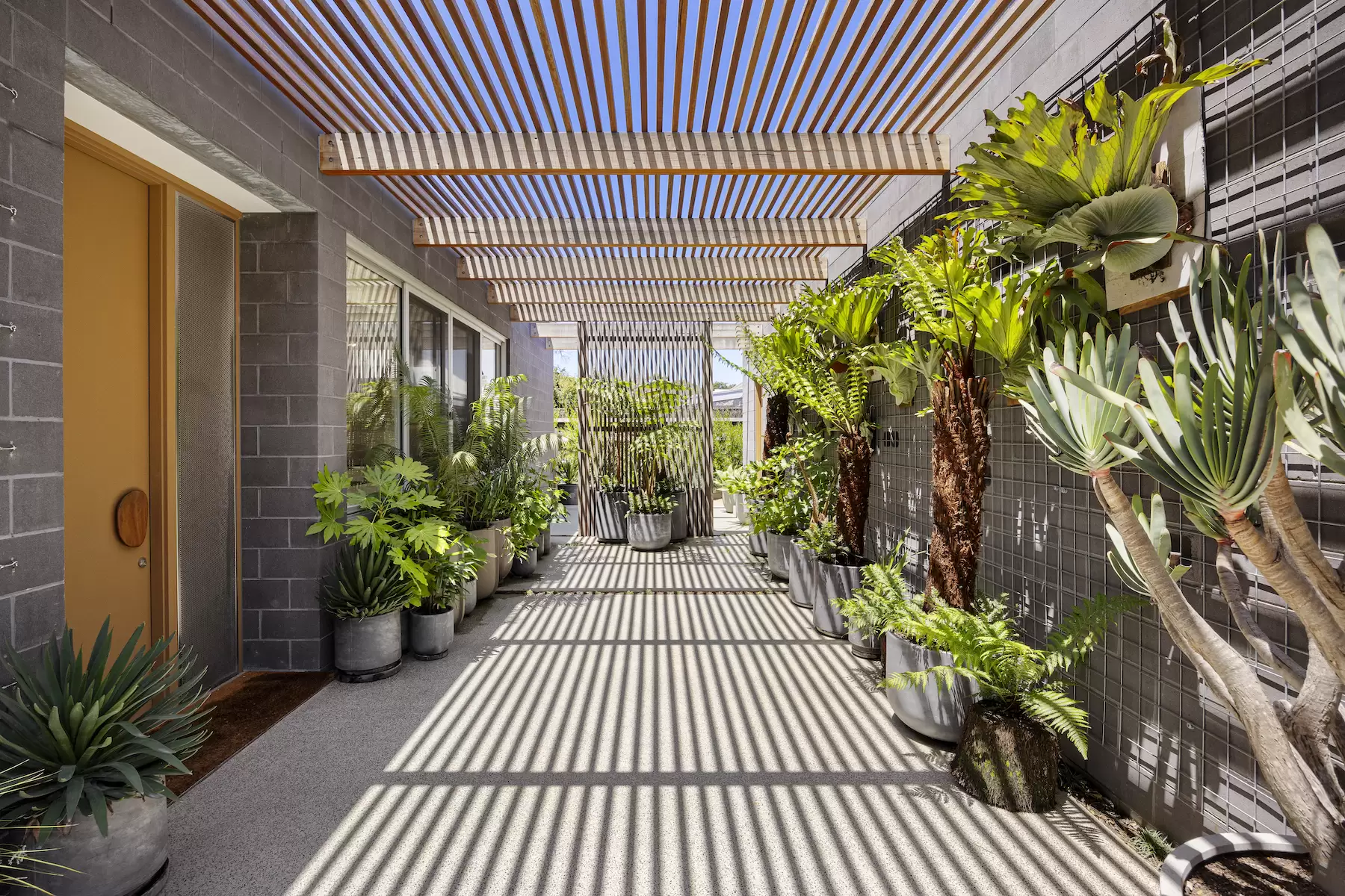 32 Elizabeth Road, Portsea Sold by Melbourne Sotheby's International Realty - image 5