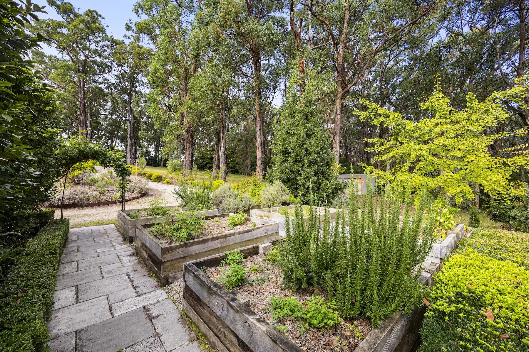 208 Point Leo Road, Red Hill South Sold by Melbourne Sotheby's International Realty - image 3