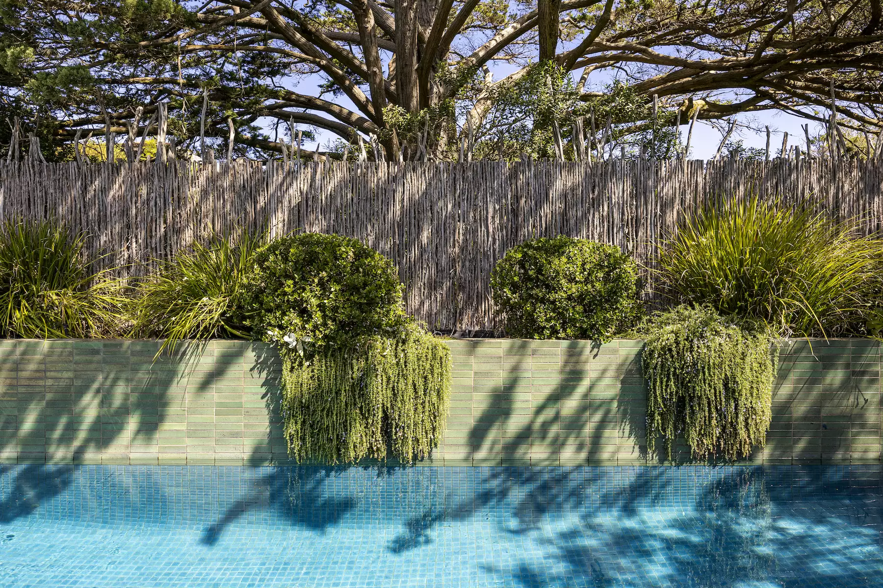 15 James Street, Sorrento Sold by Melbourne Sotheby's International Realty - image 11