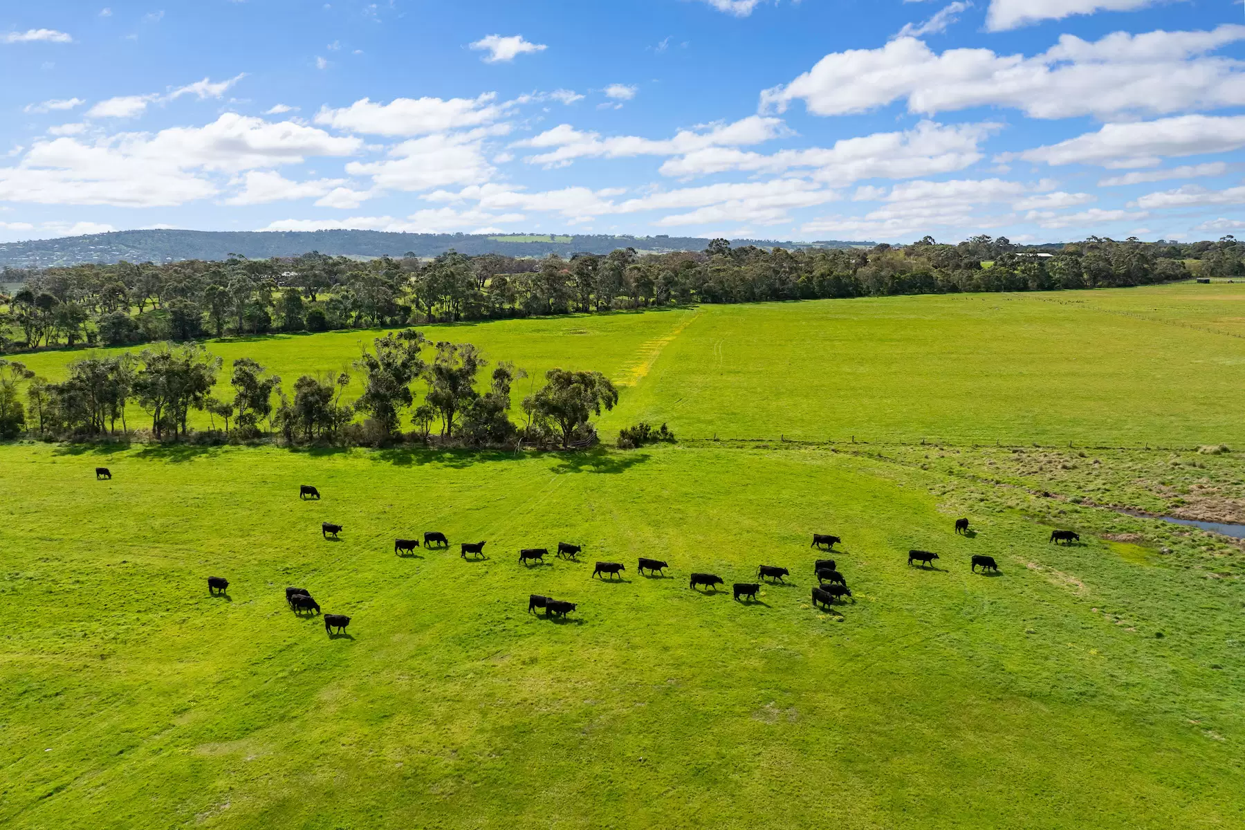 90 Wallaces Road, Dromana Sold by Melbourne Sotheby's International Realty - image 10