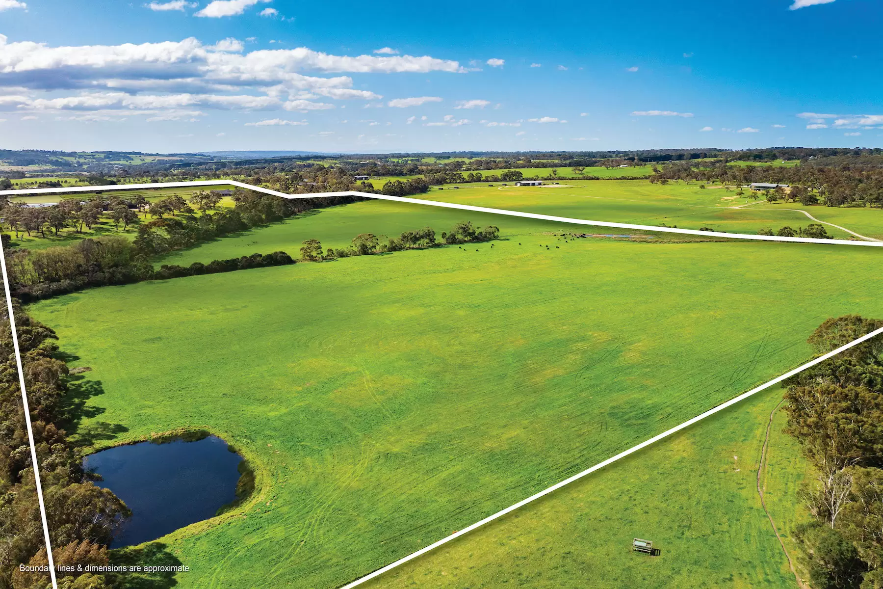 90 Wallaces Road, Dromana Sold by Melbourne Sotheby's International Realty - image 11