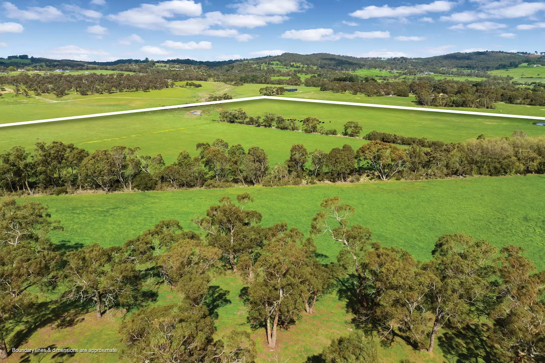 90 Wallaces Road, Dromana Sold by Melbourne Sotheby's International Realty - image 12