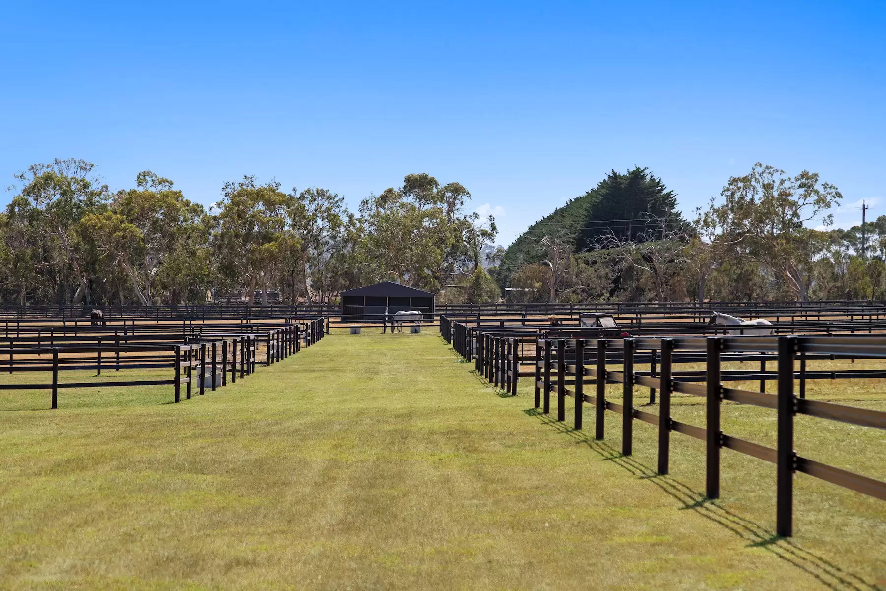 90 Wallaces Road, Dromana Sold by Melbourne Sotheby's International Realty - image 14