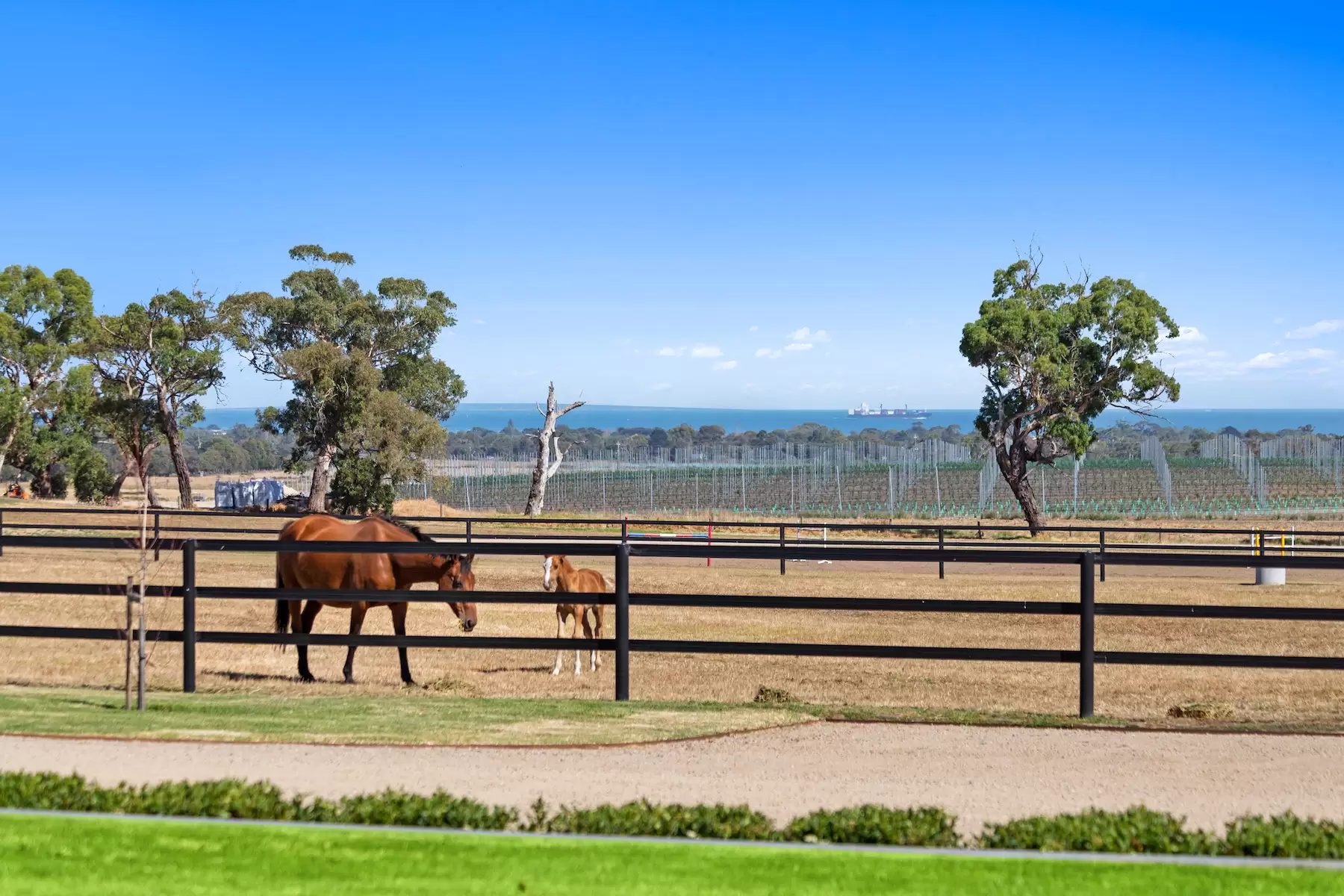90 Wallaces Road, Dromana Sold by Melbourne Sotheby's International Realty - image 15