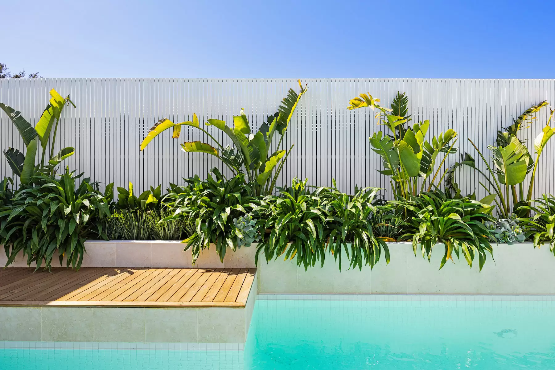 30 Shirley Avenue, Sorrento Sold by Melbourne Sotheby's International Realty - image 3