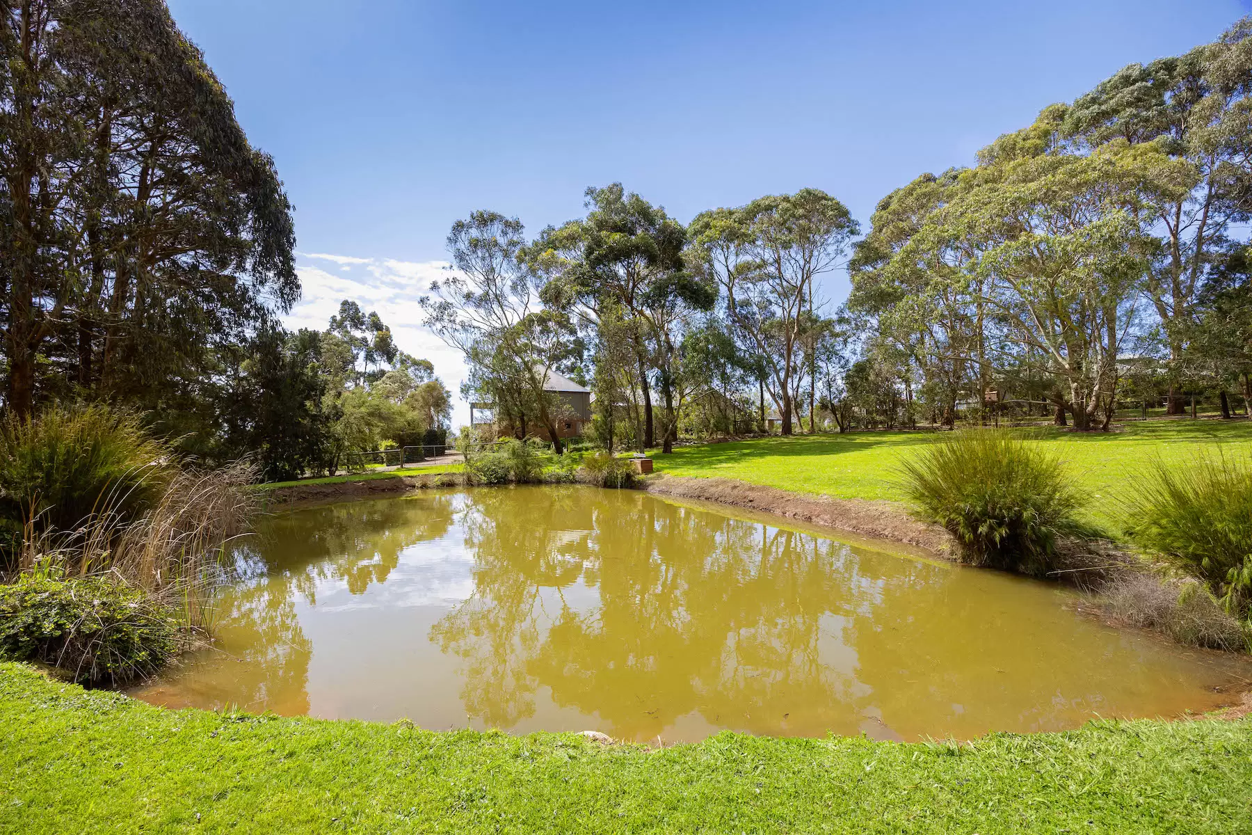30 Sheehans Road, Red Hill Sold by Melbourne Sotheby's International Realty - image 15