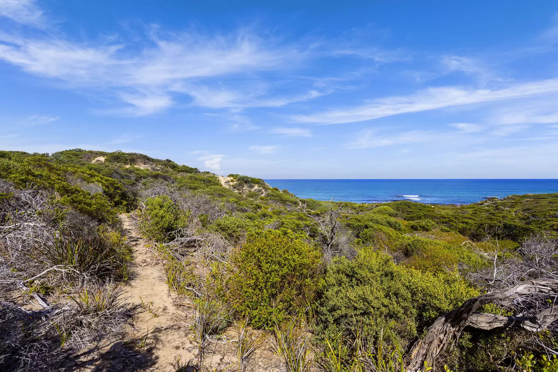 15-21 Mirino Street, Blairgowrie Sold by Melbourne Sotheby's International Realty - image 15