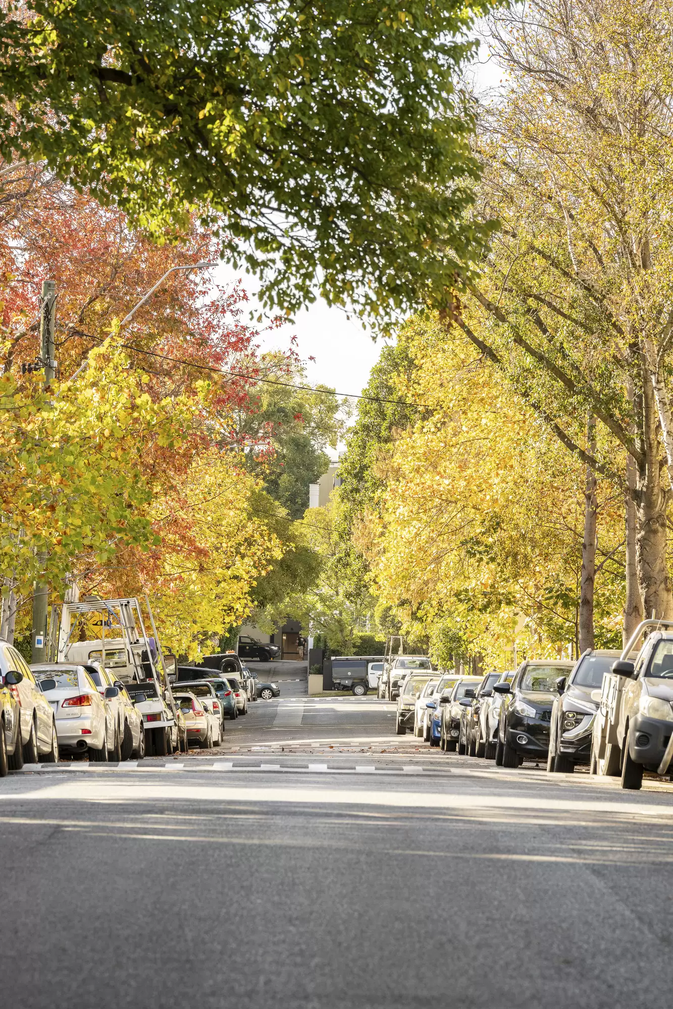 6 & 8-10 Marne Street, South Yarra Sold by Melbourne Sotheby's International Realty - image 5