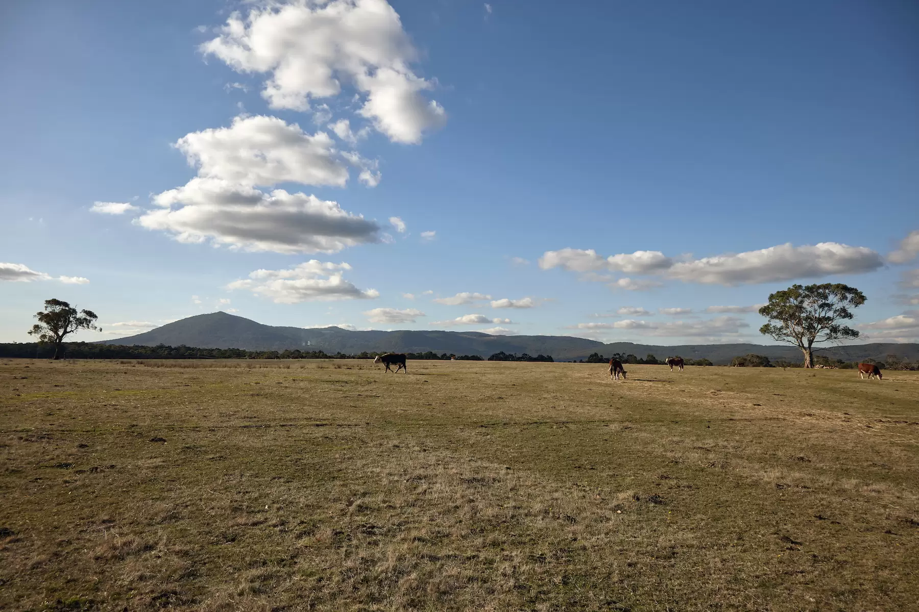 65 Lawson Road, Gisborne For Sale by Melbourne Sotheby's International Realty - image 2
