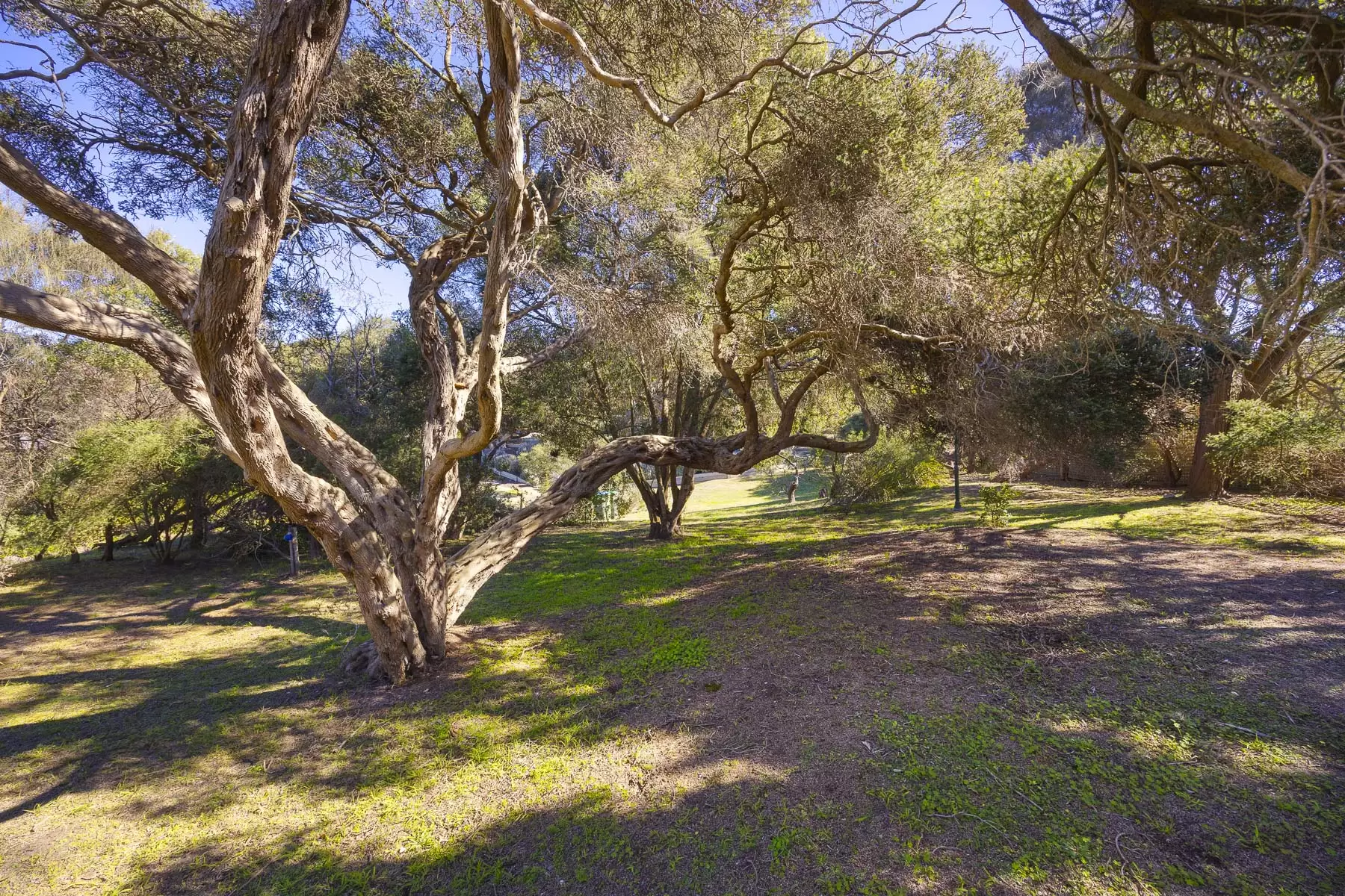 56 Elizabeth Road, Portsea Sold by Melbourne Sotheby's International Realty - image 18