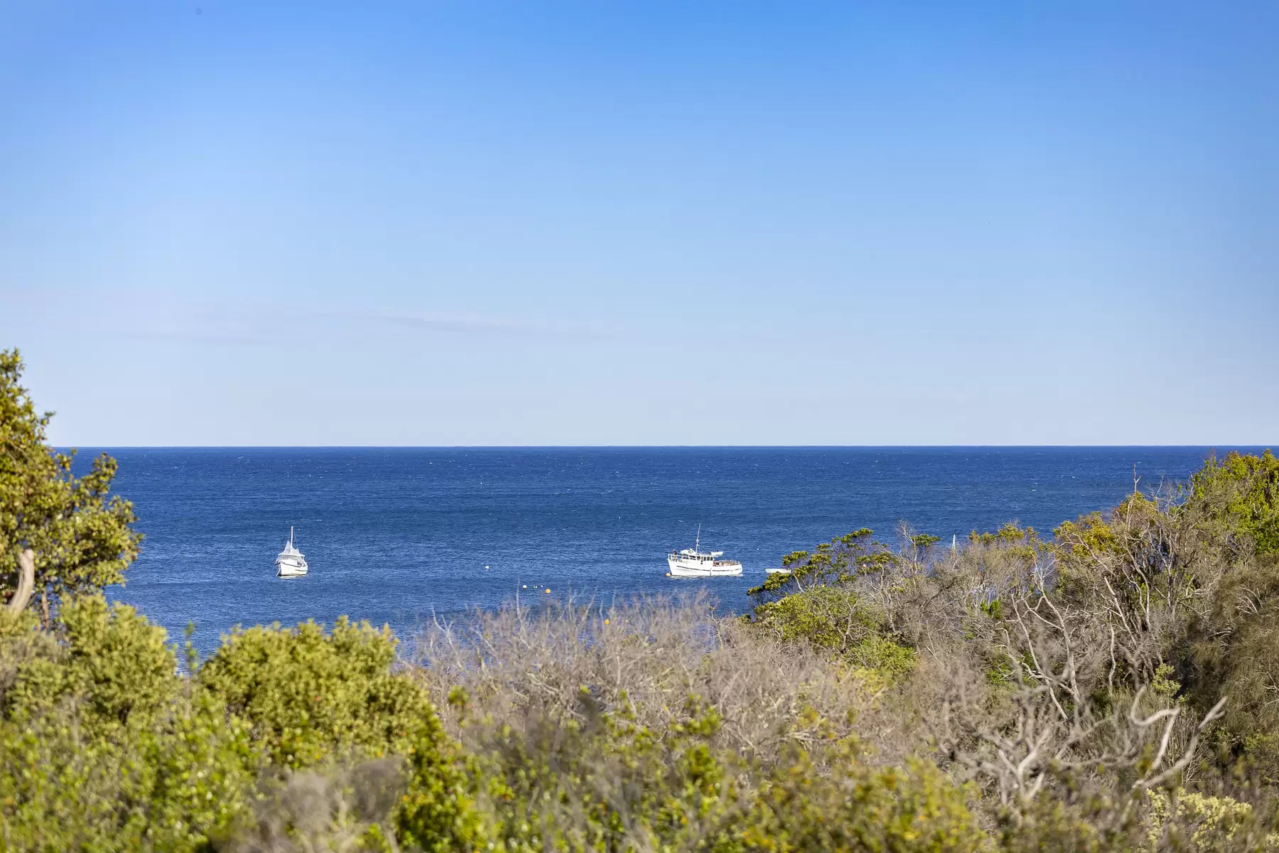 14 Spindrift Avenue, Flinders For Sale by Melbourne Sotheby's International Realty - image 1