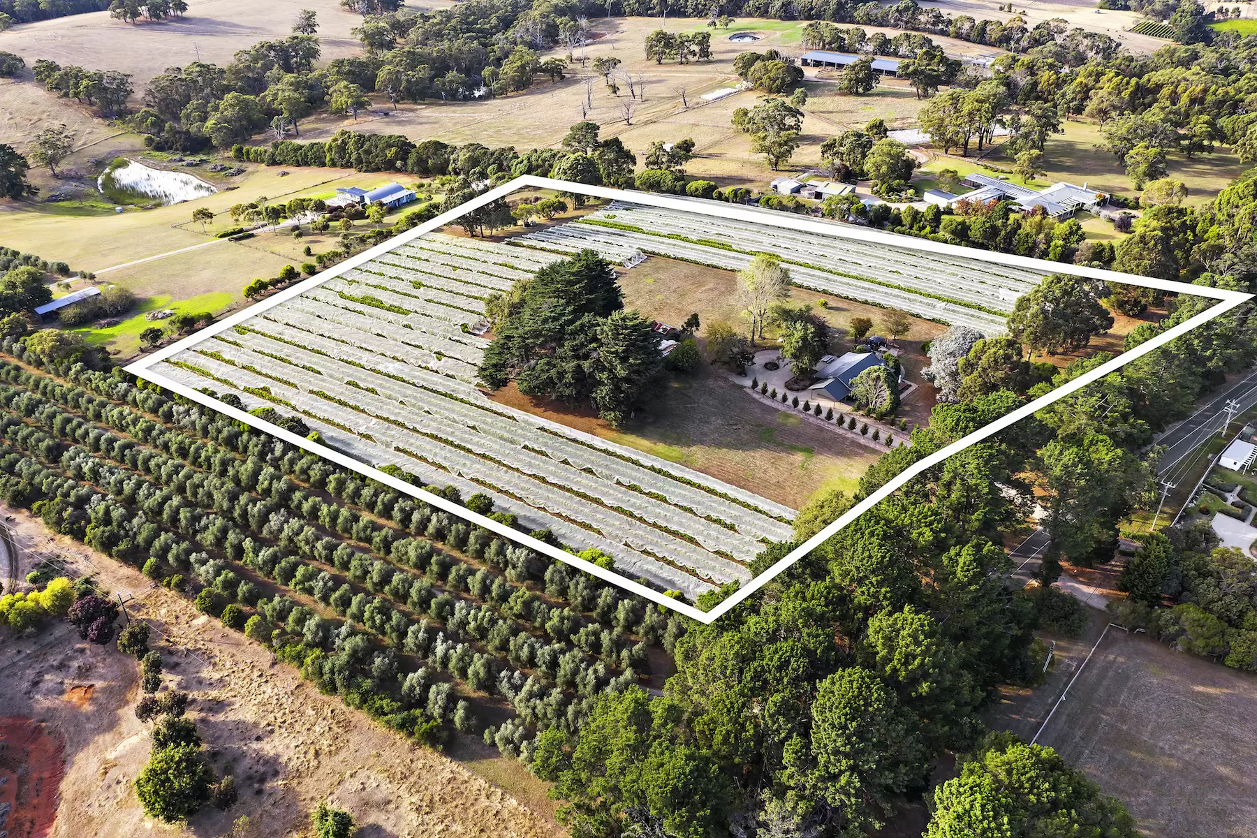 255 Main Creek Road, Main Ridge For Sale by Melbourne Sotheby's International Realty - image 18