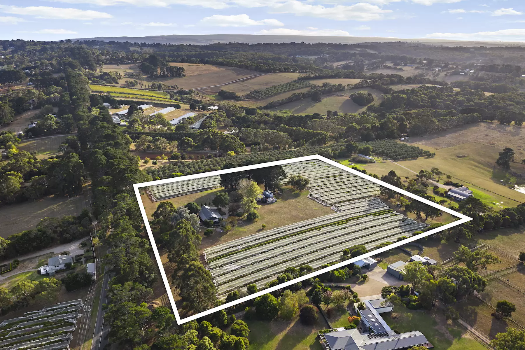 255 Main Creek Road, Main Ridge For Sale by Melbourne Sotheby's International Realty - image 19