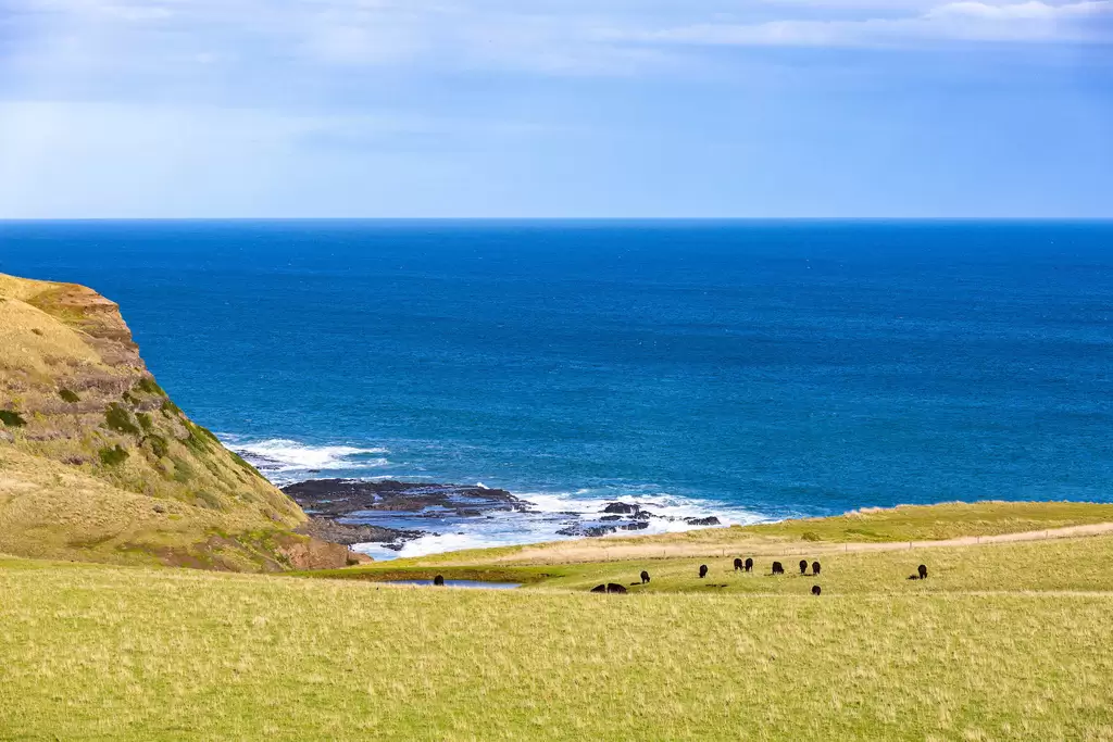 1820 Boneo Road, Flinders For Sale by Melbourne Sotheby's International Realty