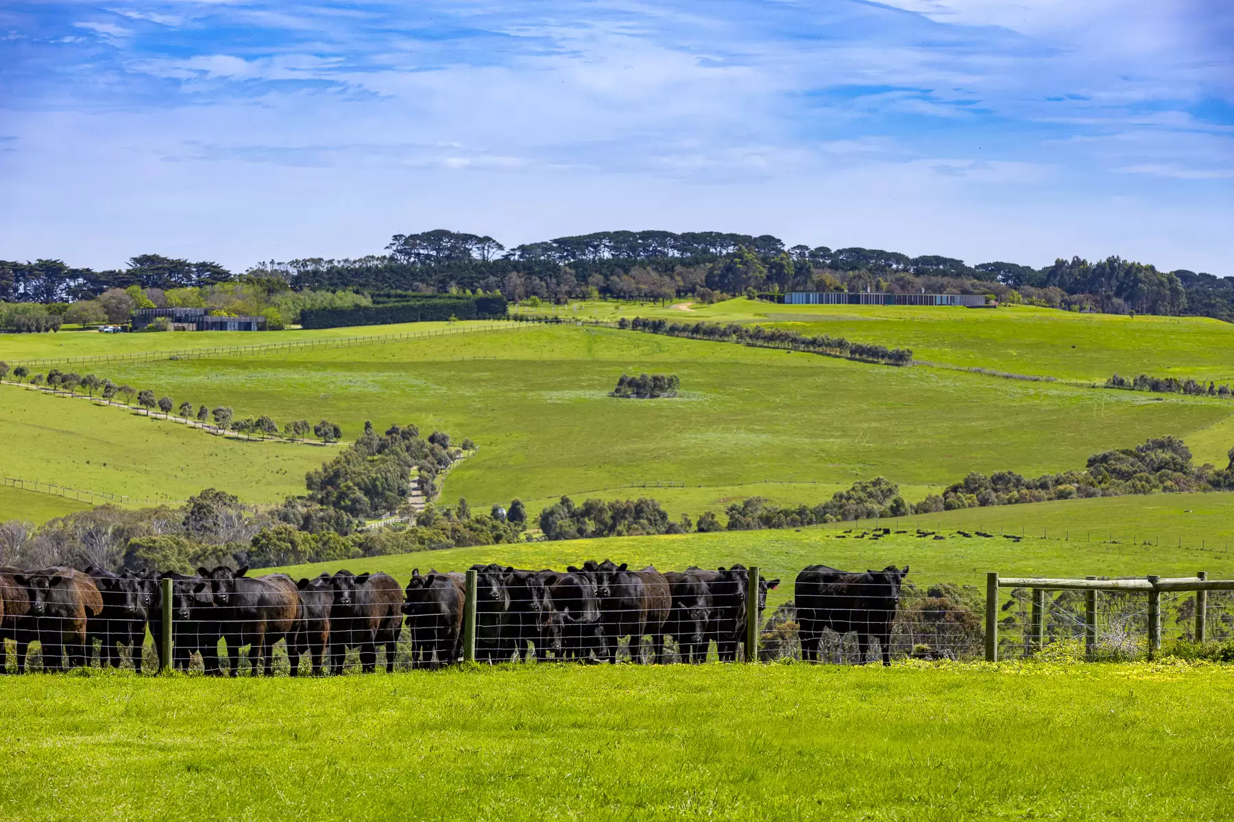1747  Boneo Road, Flinders For Sale by Melbourne Sotheby's International Realty - image 21