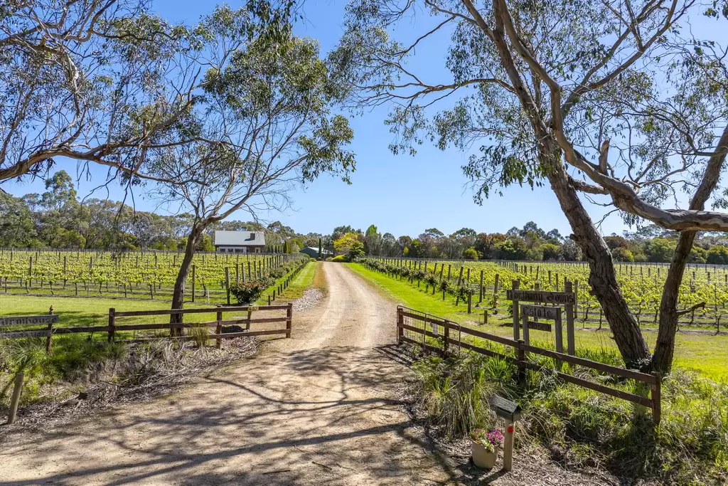 437 Stumpy Gully Road, Balnarring For Sale by Melbourne Sotheby's International Realty