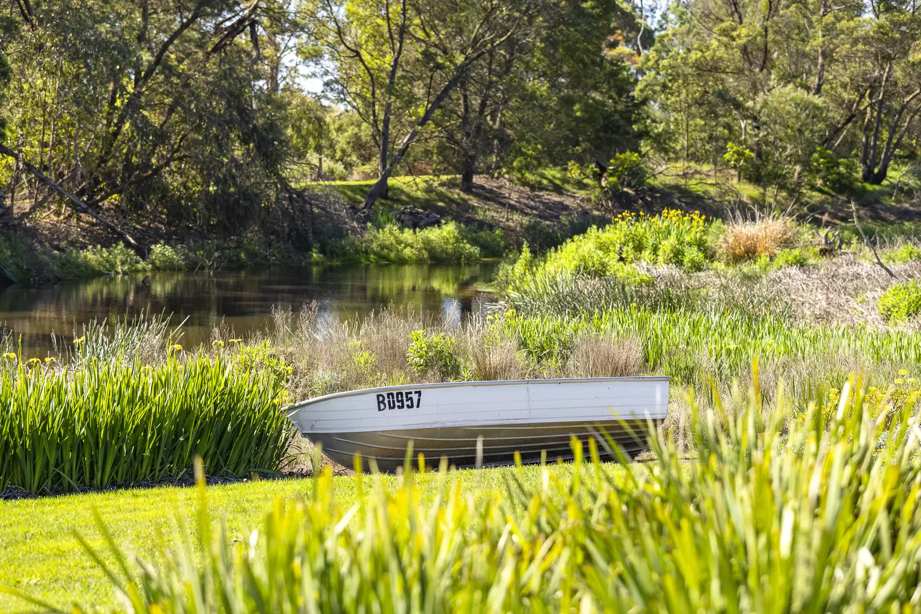 437 Stumpy Gully Road, Balnarring For Sale by Melbourne Sotheby's International Realty - image 19