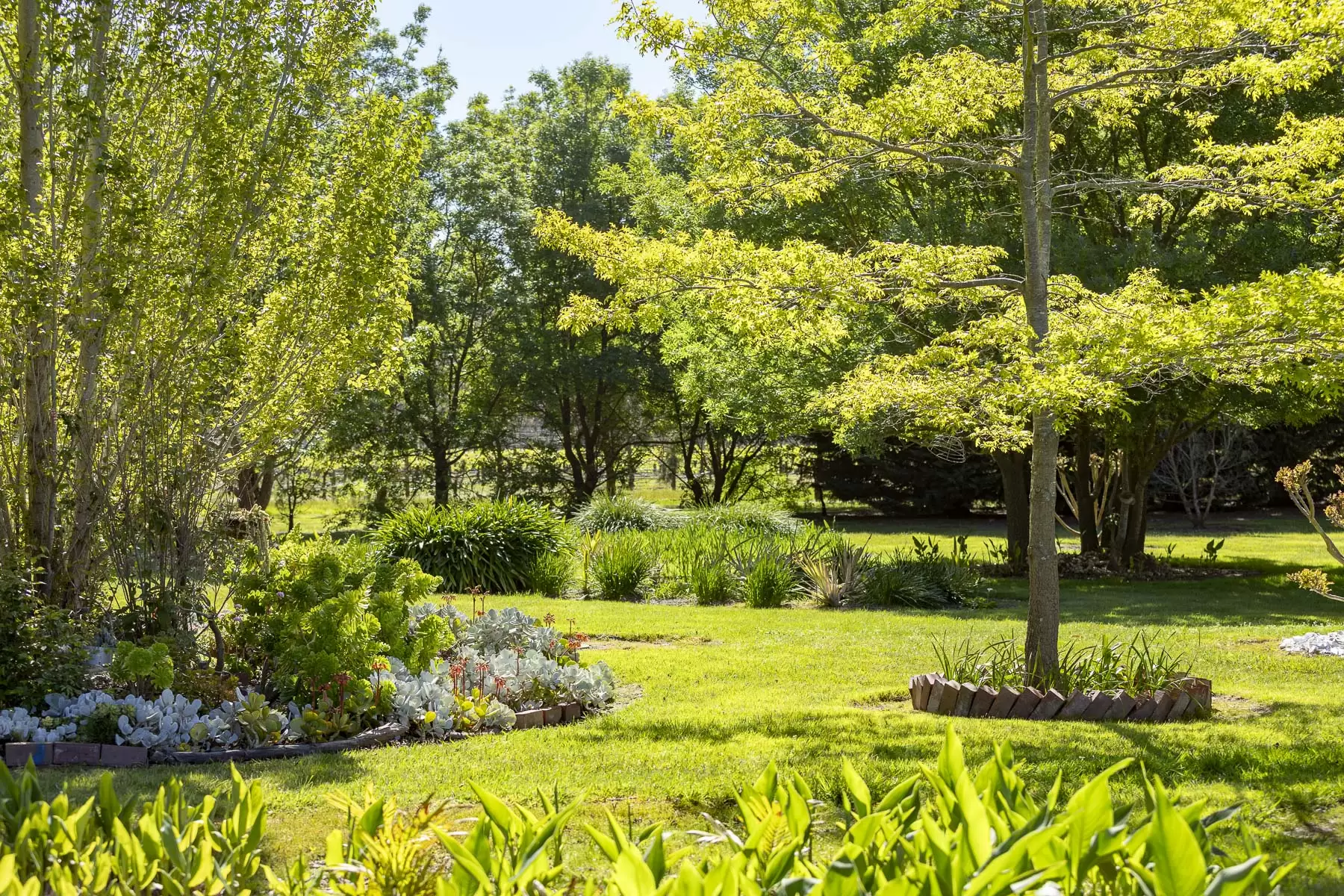 437 Stumpy Gully Road, Balnarring For Sale by Melbourne Sotheby's International Realty - image 23