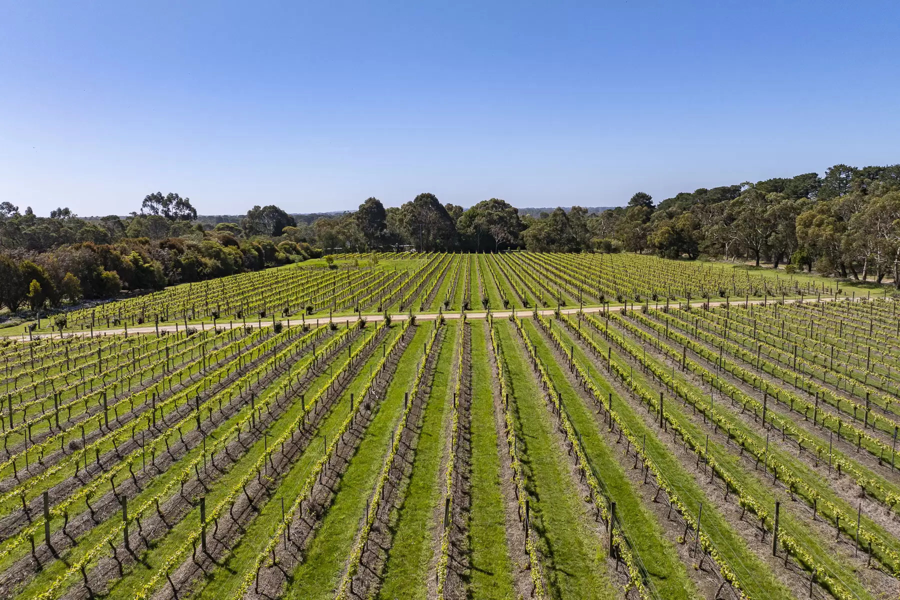 437 Stumpy Gully Road, Balnarring For Sale by Melbourne Sotheby's International Realty - image 13