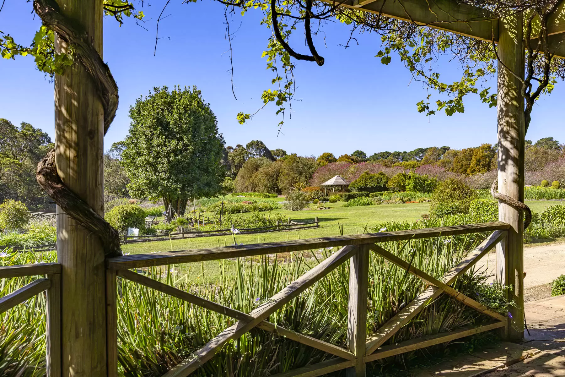 437 Stumpy Gully Road, Balnarring For Sale by Melbourne Sotheby's International Realty - image 20
