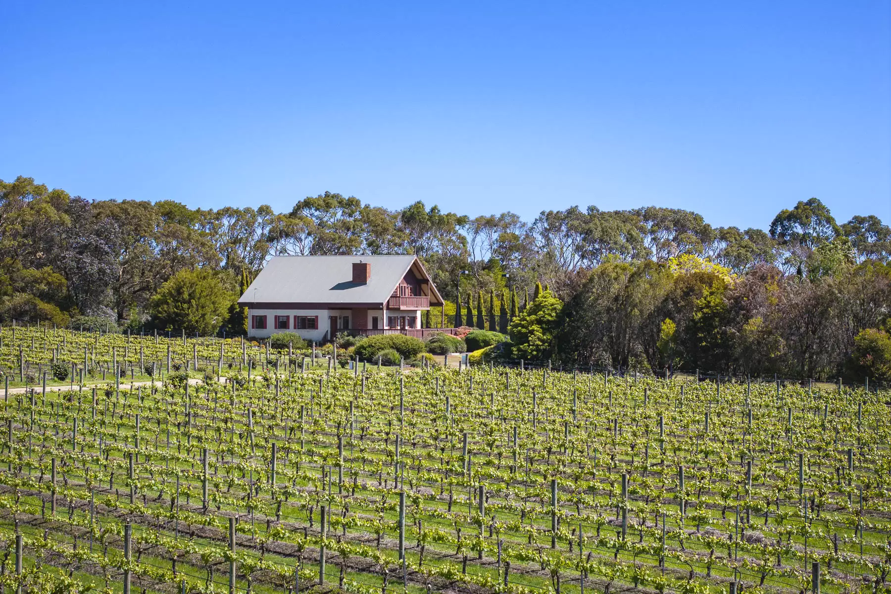 437 Stumpy Gully Road, Balnarring For Sale by Melbourne Sotheby's International Realty - image 7