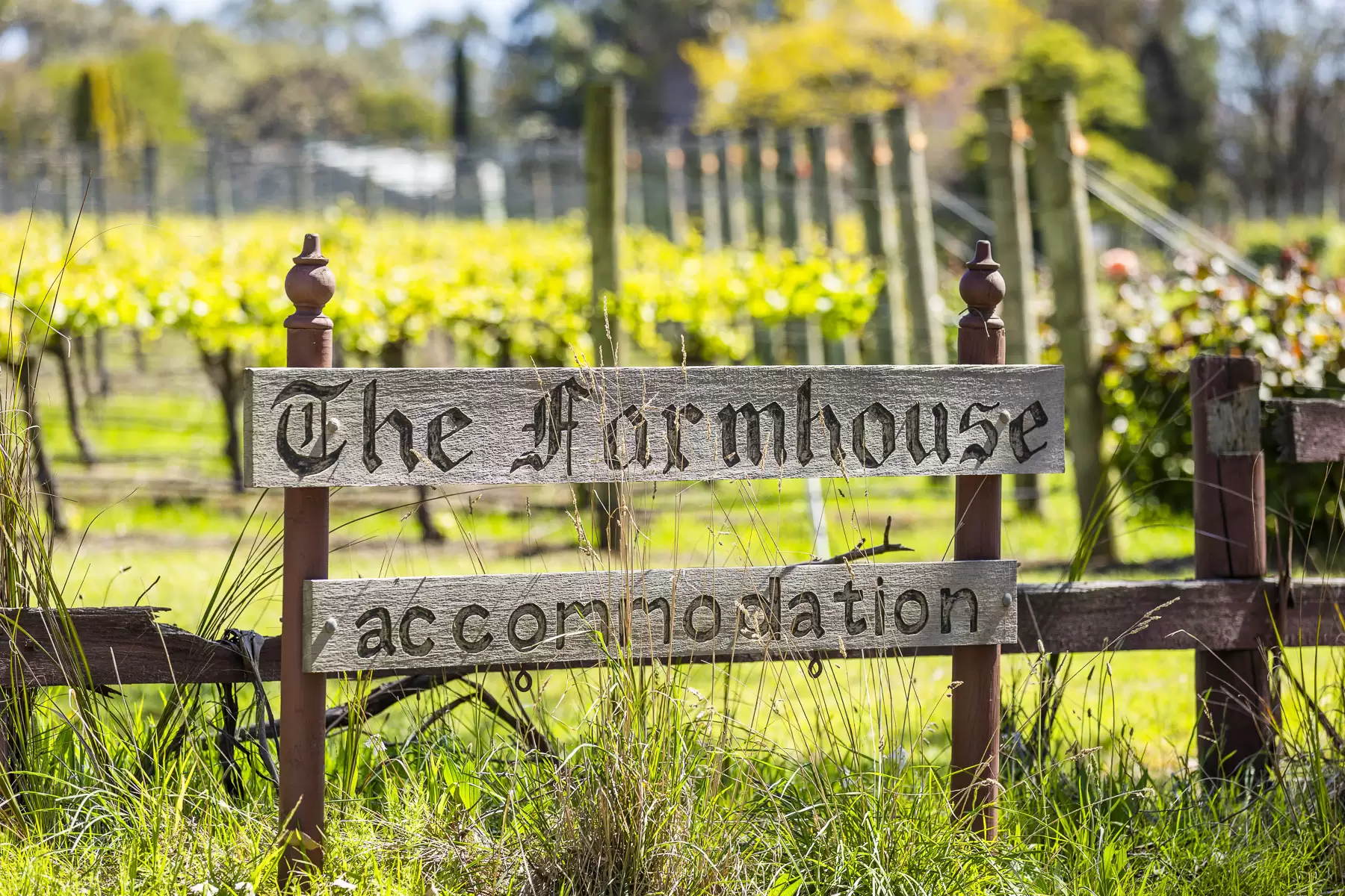 437 Stumpy Gully Road, Balnarring For Sale by Melbourne Sotheby's International Realty - image 8