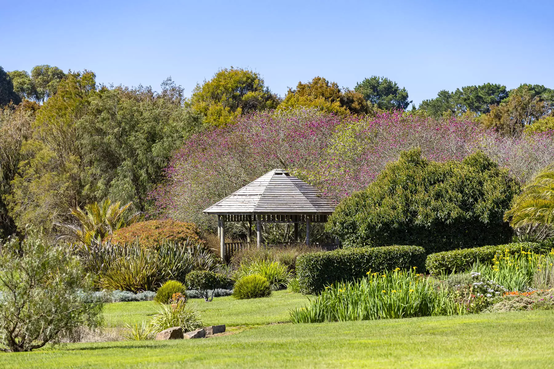 437 Stumpy Gully Road, Balnarring For Sale by Melbourne Sotheby's International Realty - image 17