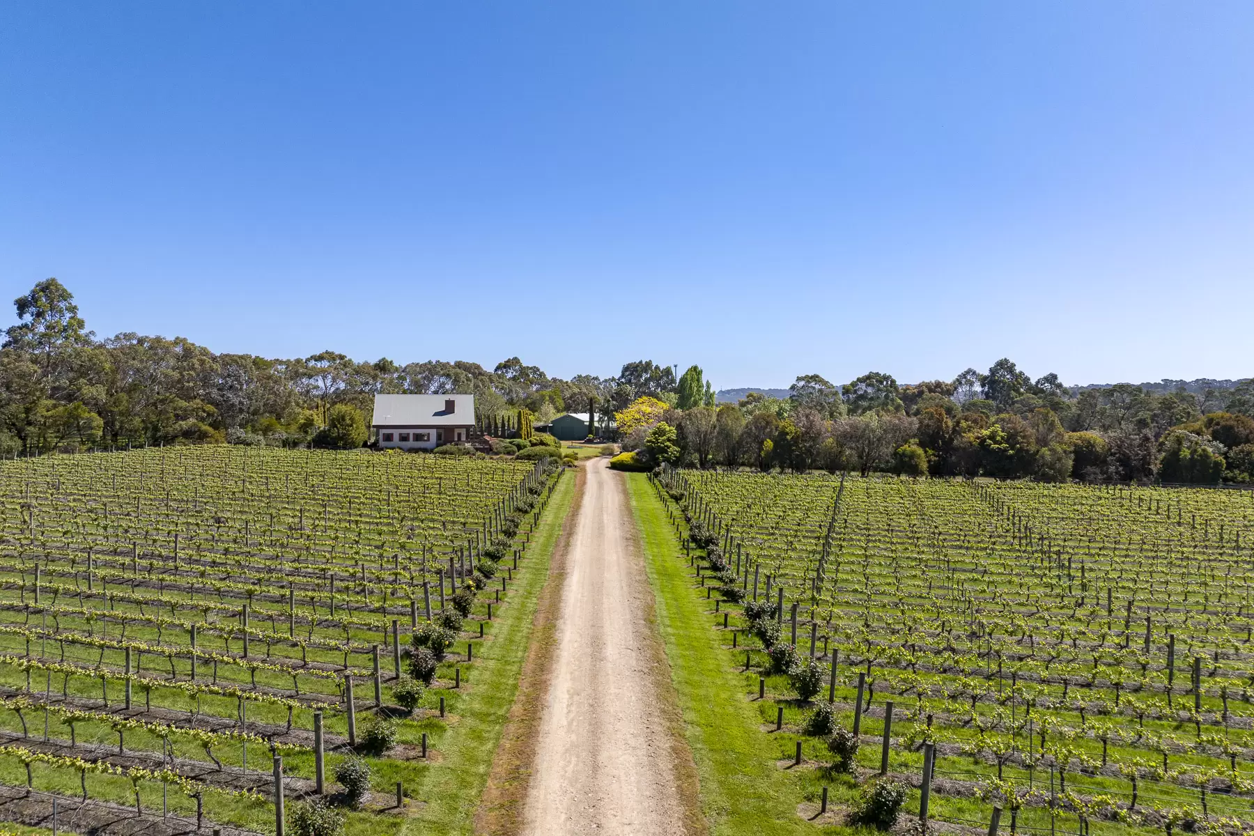 437 Stumpy Gully Road, Balnarring For Sale by Melbourne Sotheby's International Realty - image 5