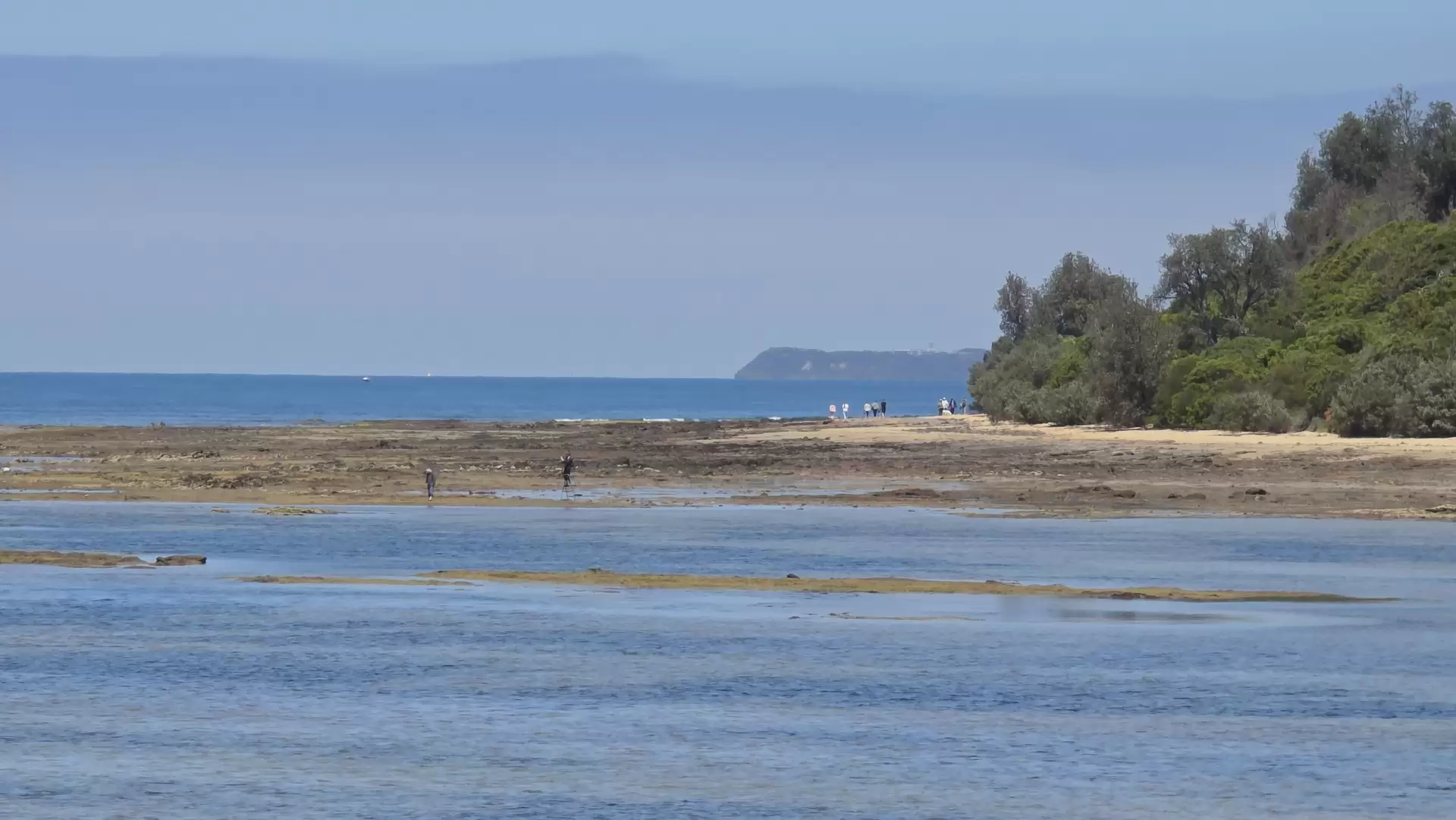 Balnarring Beach For Sale by Melbourne Sotheby's International Realty - image 1