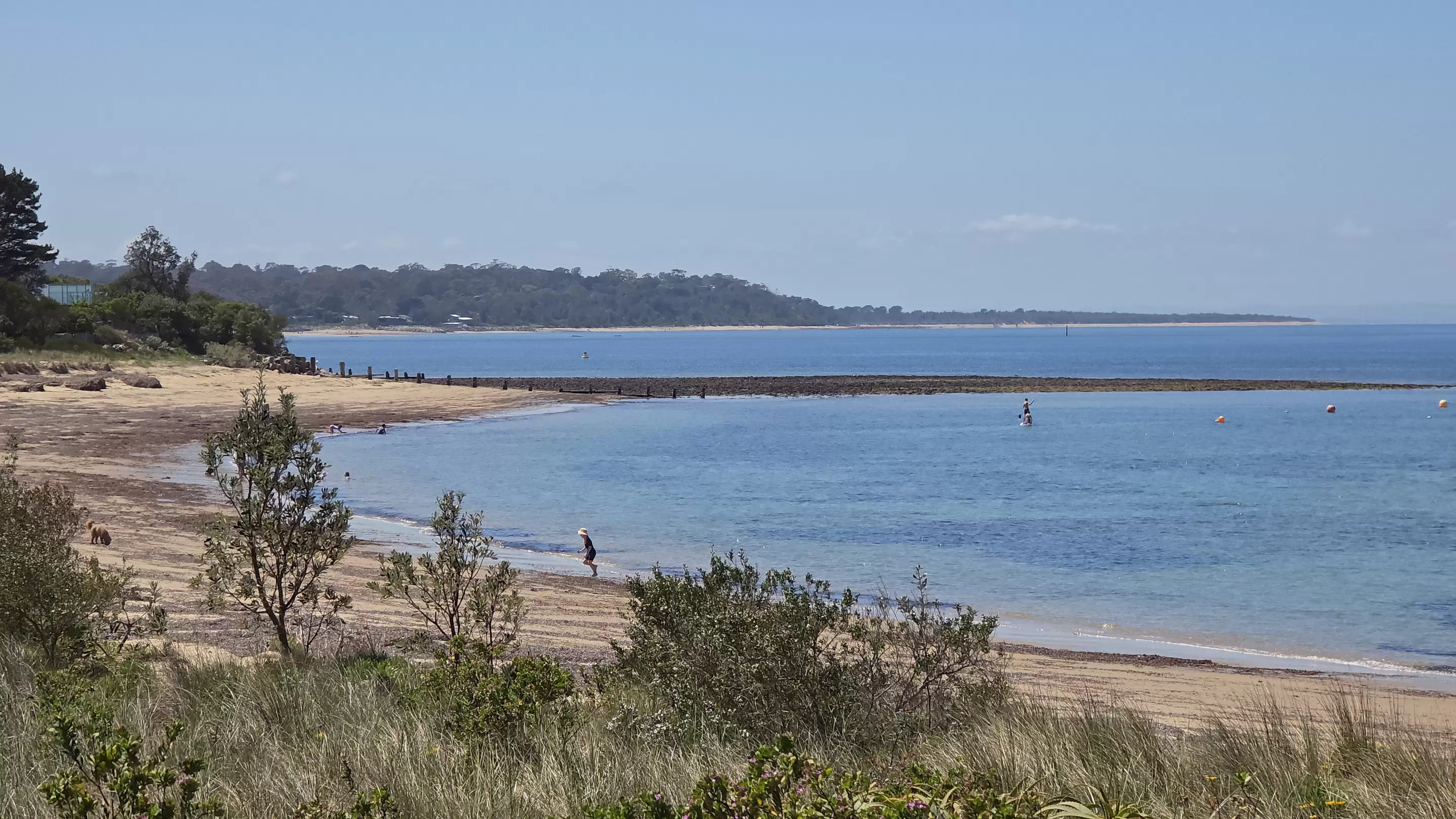 Balnarring Beach For Sale by Melbourne Sotheby's International Realty - image 6