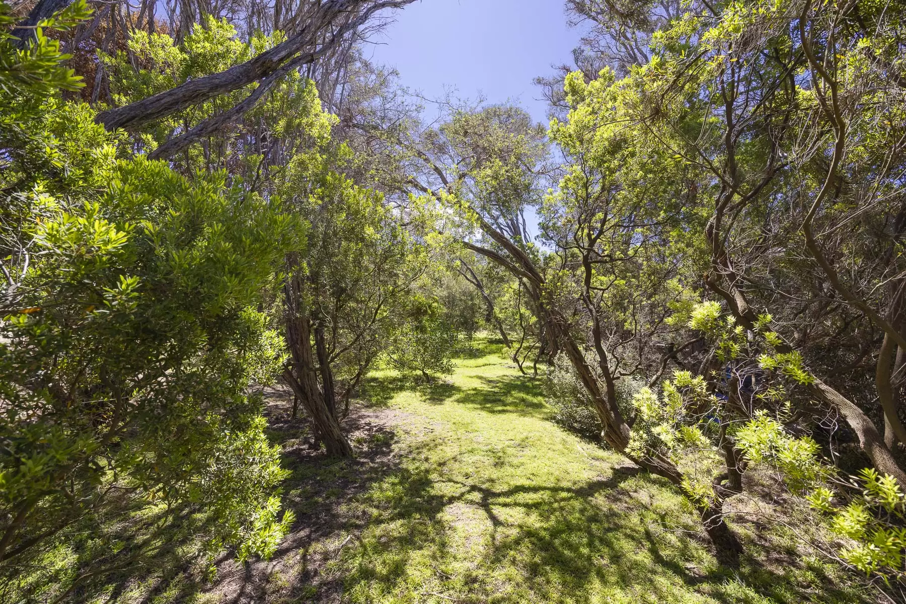 35 And 39  Munro  Street, Blairgowrie For Sale by Melbourne Sotheby's International Realty - image 17