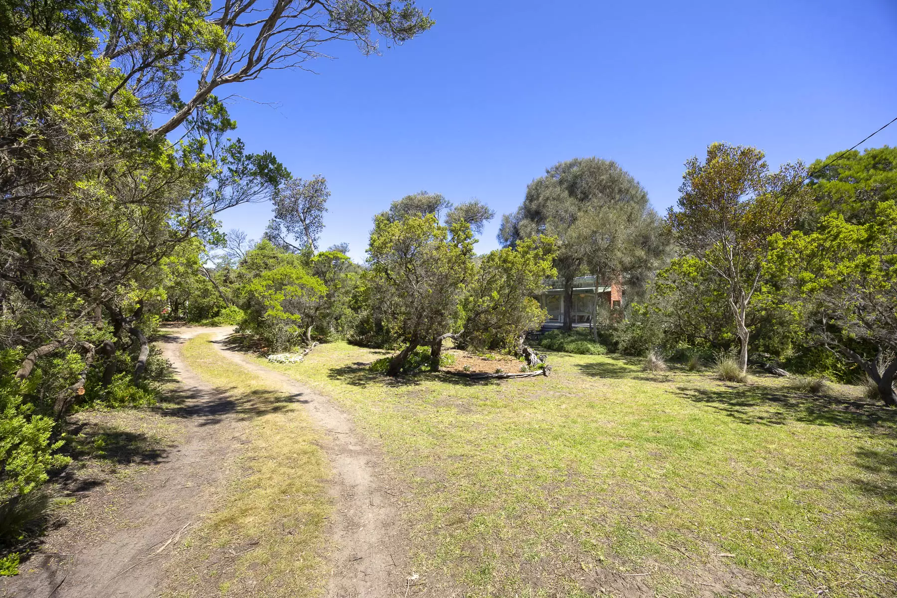 35 And 39  Munro  Street, Blairgowrie For Sale by Melbourne Sotheby's International Realty - image 5