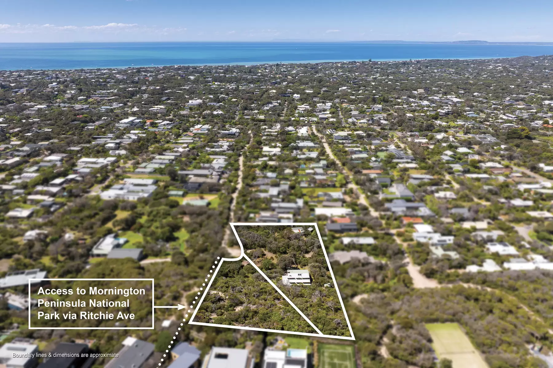 35 And 39  Munro  Street, Blairgowrie For Sale by Melbourne Sotheby's International Realty - image 3