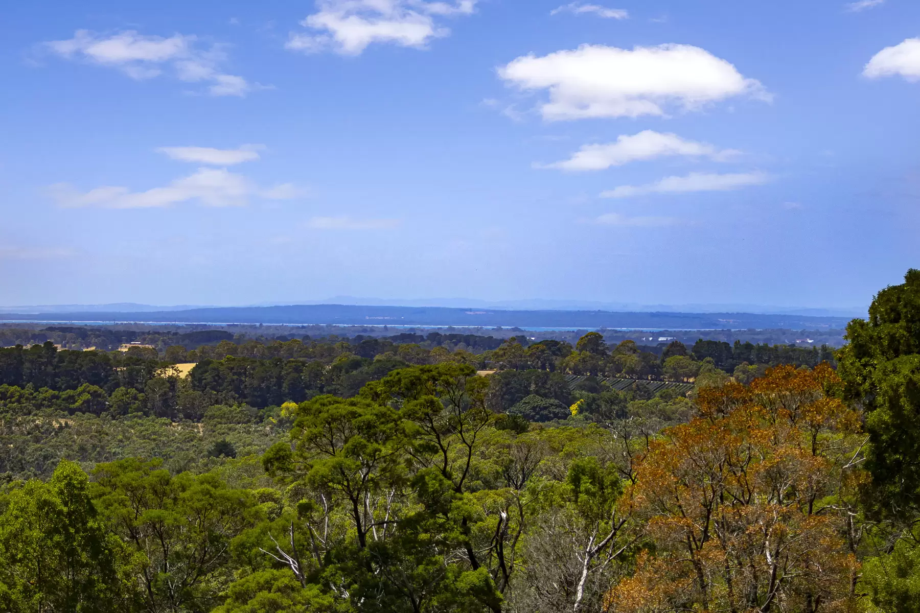100 Stanleys Road, Red Hill South For Sale by Melbourne Sotheby's International Realty - image 4