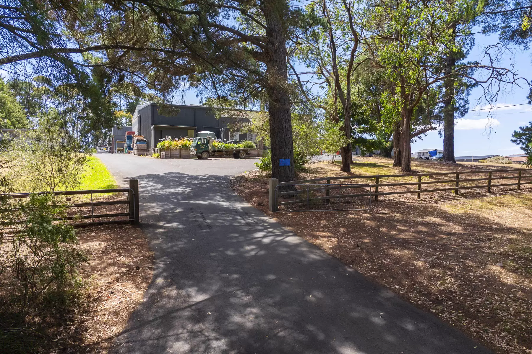 100 Stanleys Road, Red Hill South For Sale by Melbourne Sotheby's International Realty - image 5