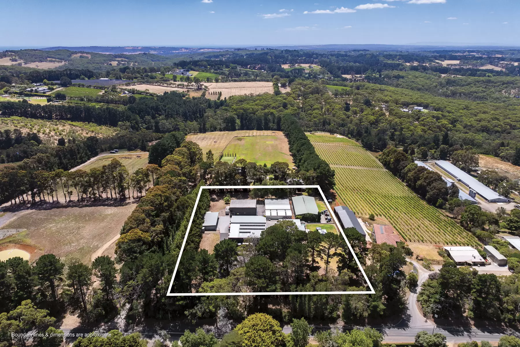 100 Stanleys Road, Red Hill South For Sale by Melbourne Sotheby's International Realty - image 3