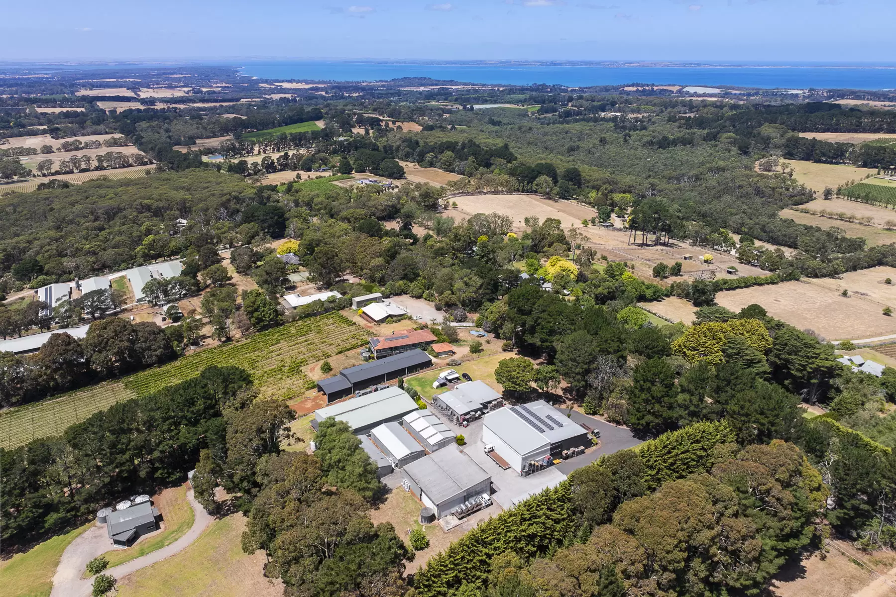 100 Stanleys Road, Red Hill South For Sale by Melbourne Sotheby's International Realty - image 13