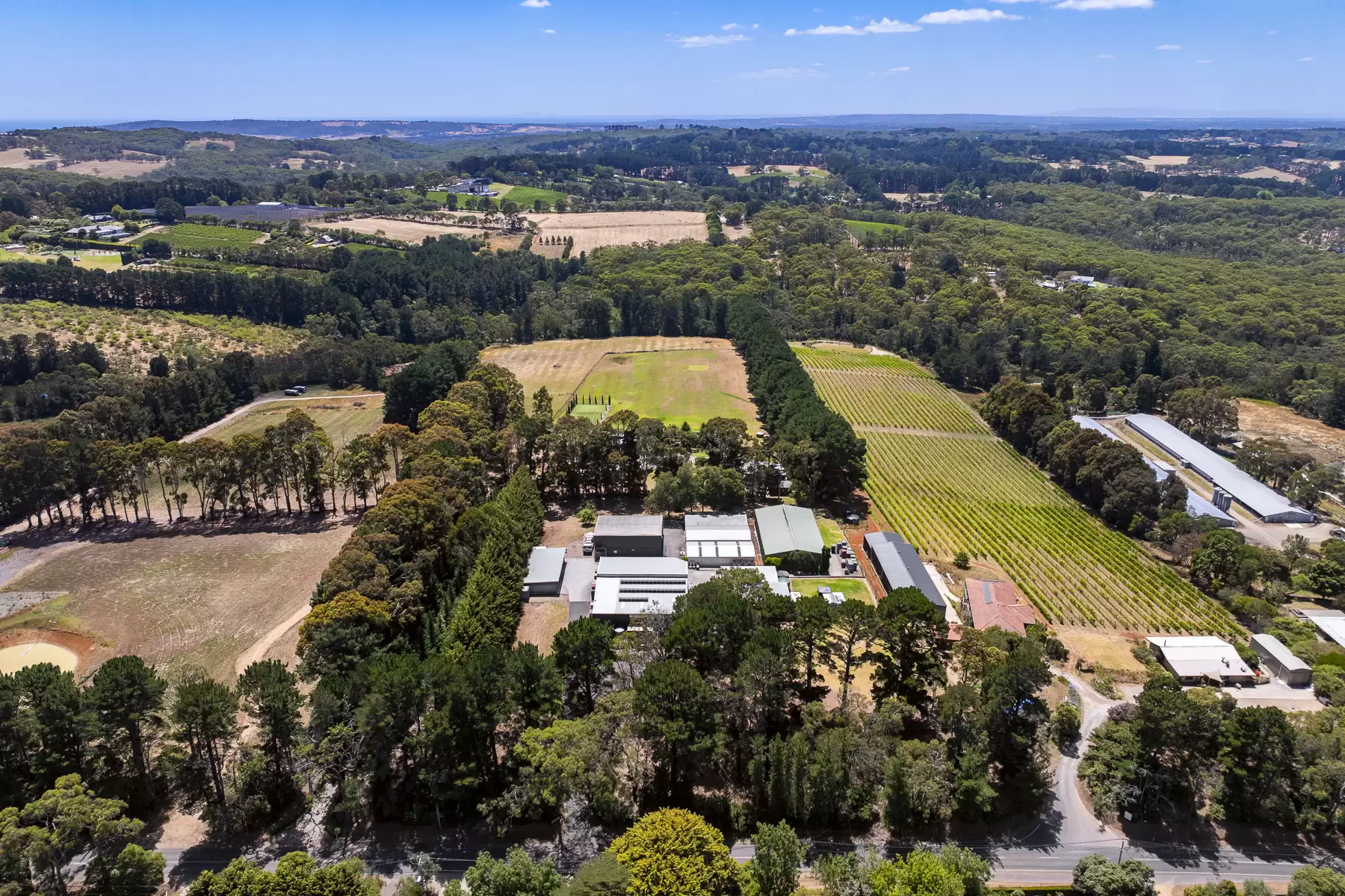 100 Stanleys Road, Red Hill South For Sale by Melbourne Sotheby's International Realty - image 12