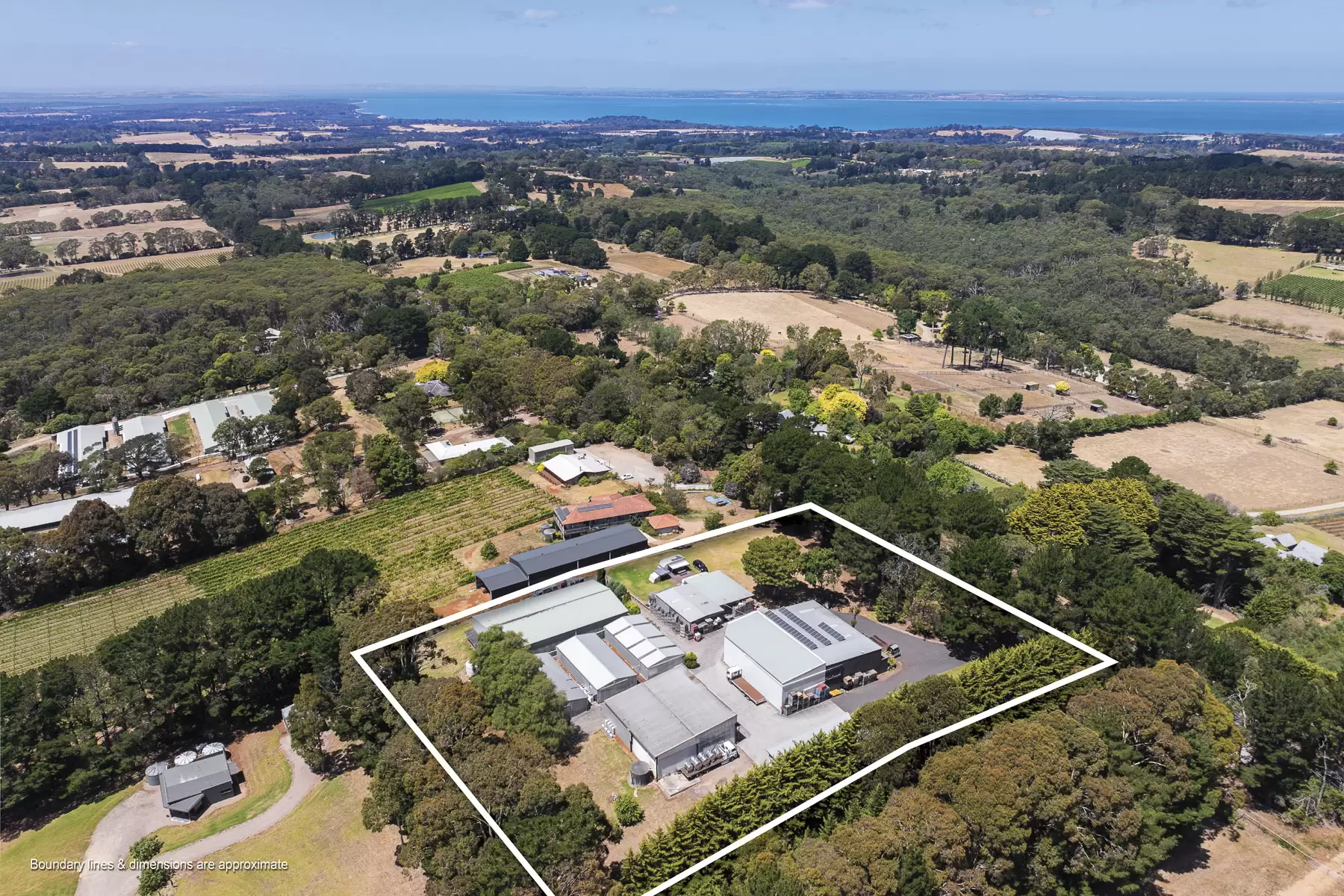 100 Stanleys Road, Red Hill South For Sale by Melbourne Sotheby's International Realty - image 14