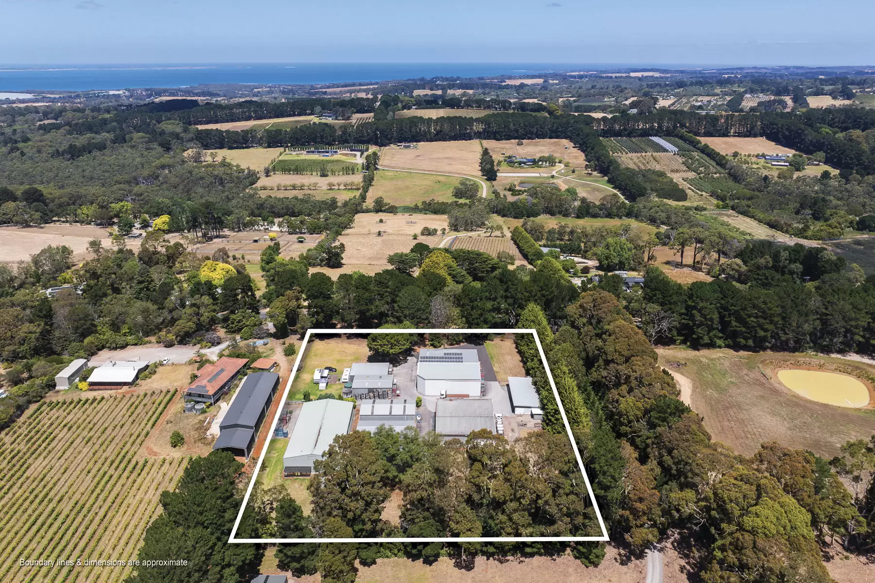 100 Stanleys Road, Red Hill South For Sale by Melbourne Sotheby's International Realty - image 16