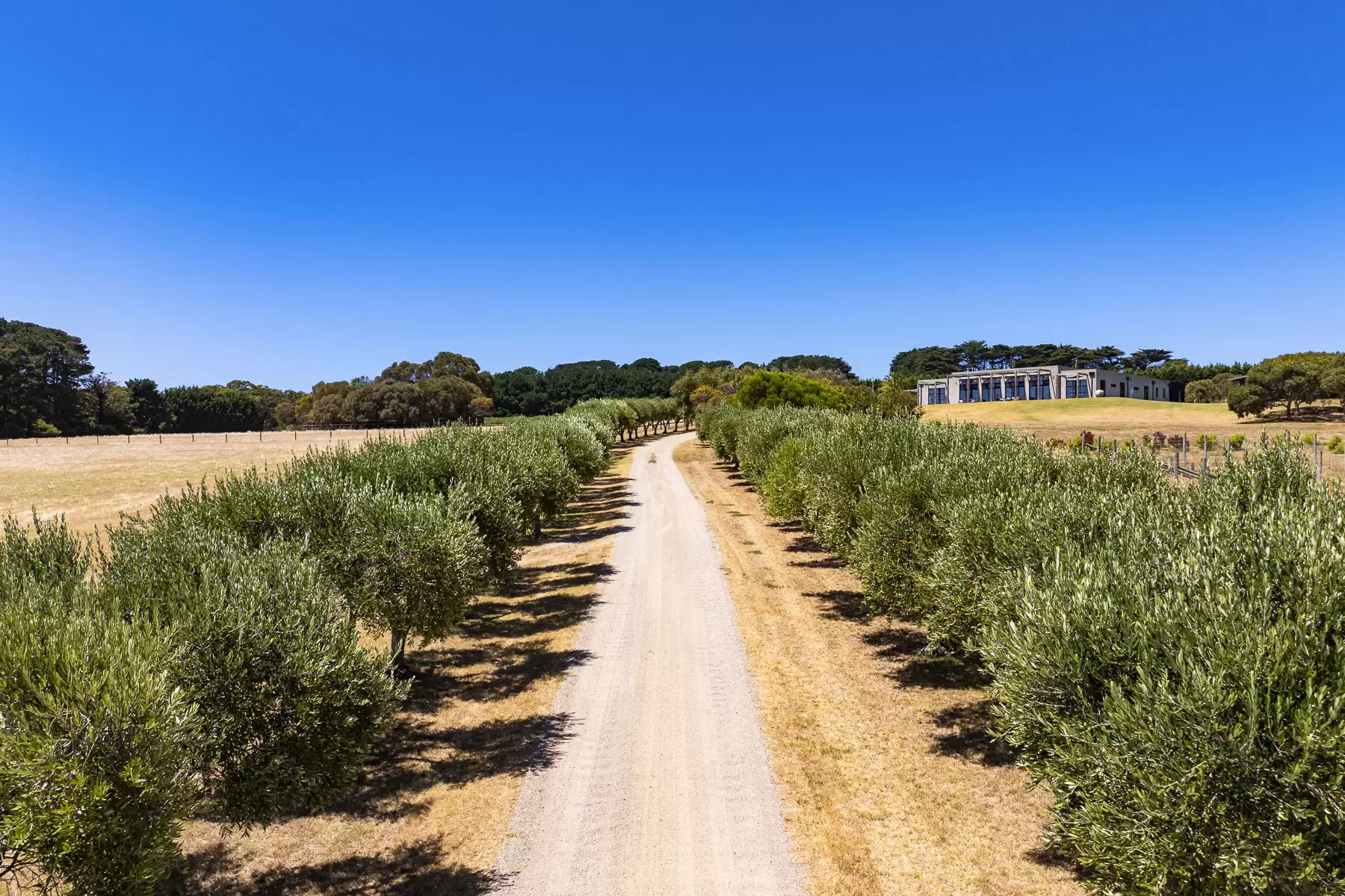 515 Grasslands Road, Boneo For Sale by Melbourne Sotheby's International Realty - image 5