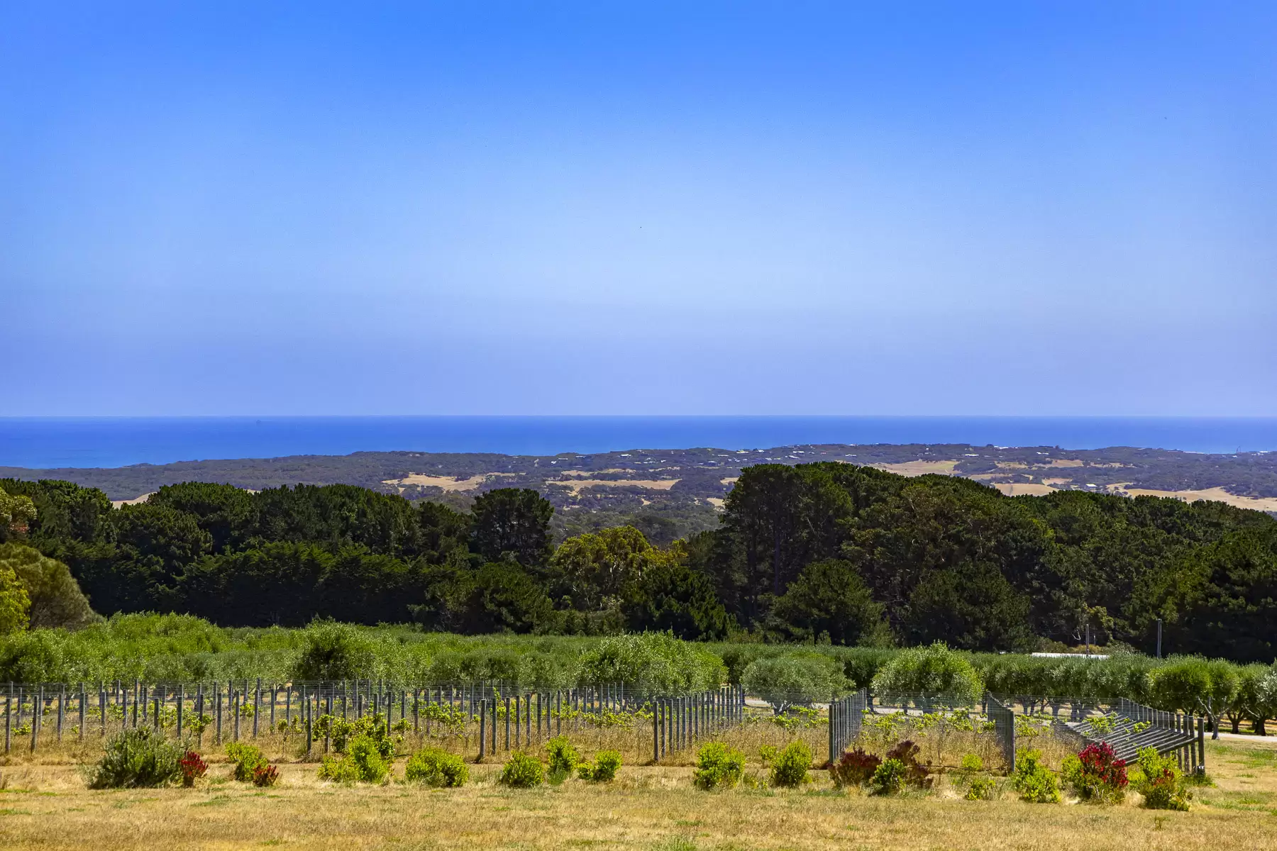 515 Grasslands Road, Boneo For Sale by Melbourne Sotheby's International Realty - image 1