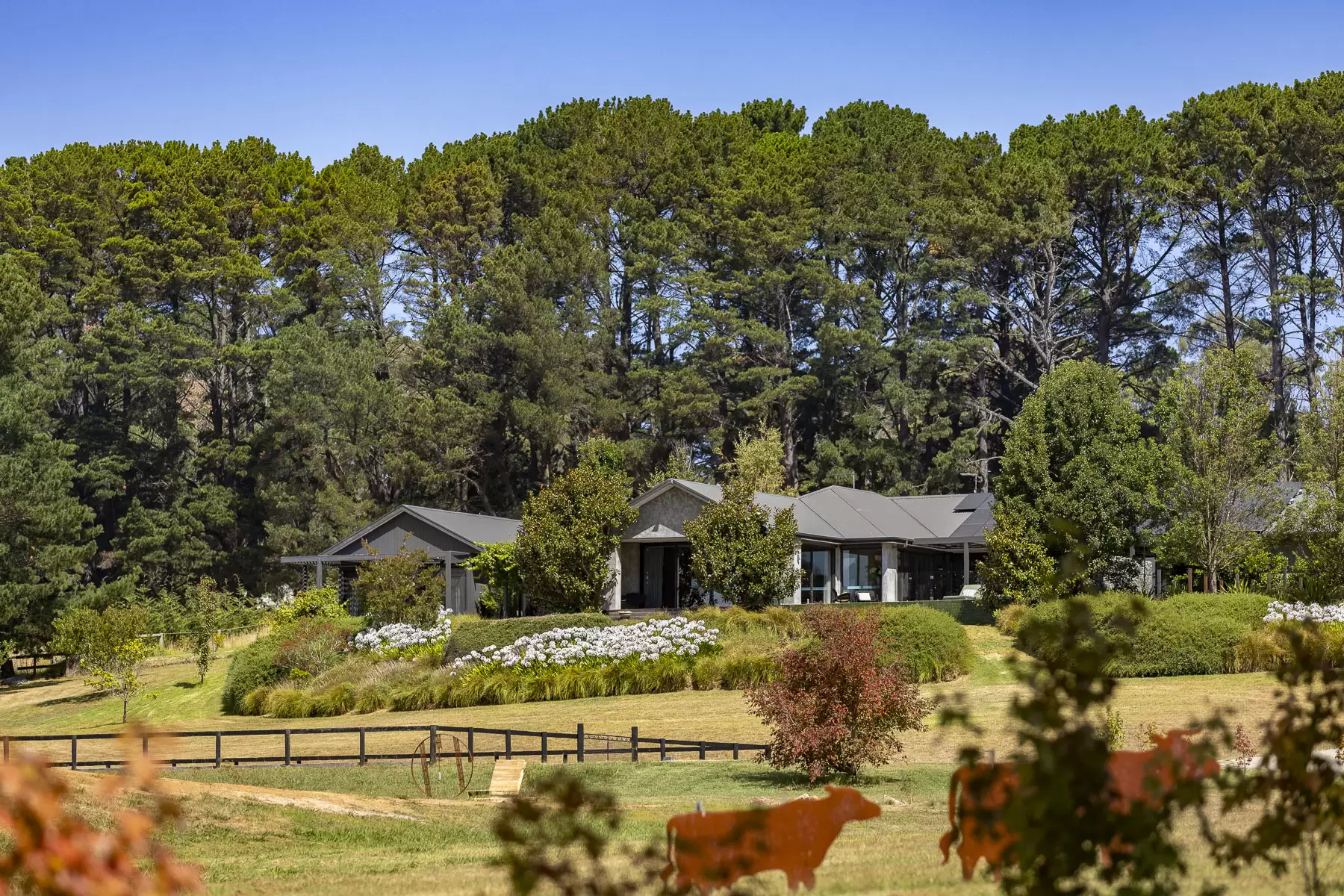 101 Stanleys Road, Red Hill South For Sale by Melbourne Sotheby's International Realty - image 6