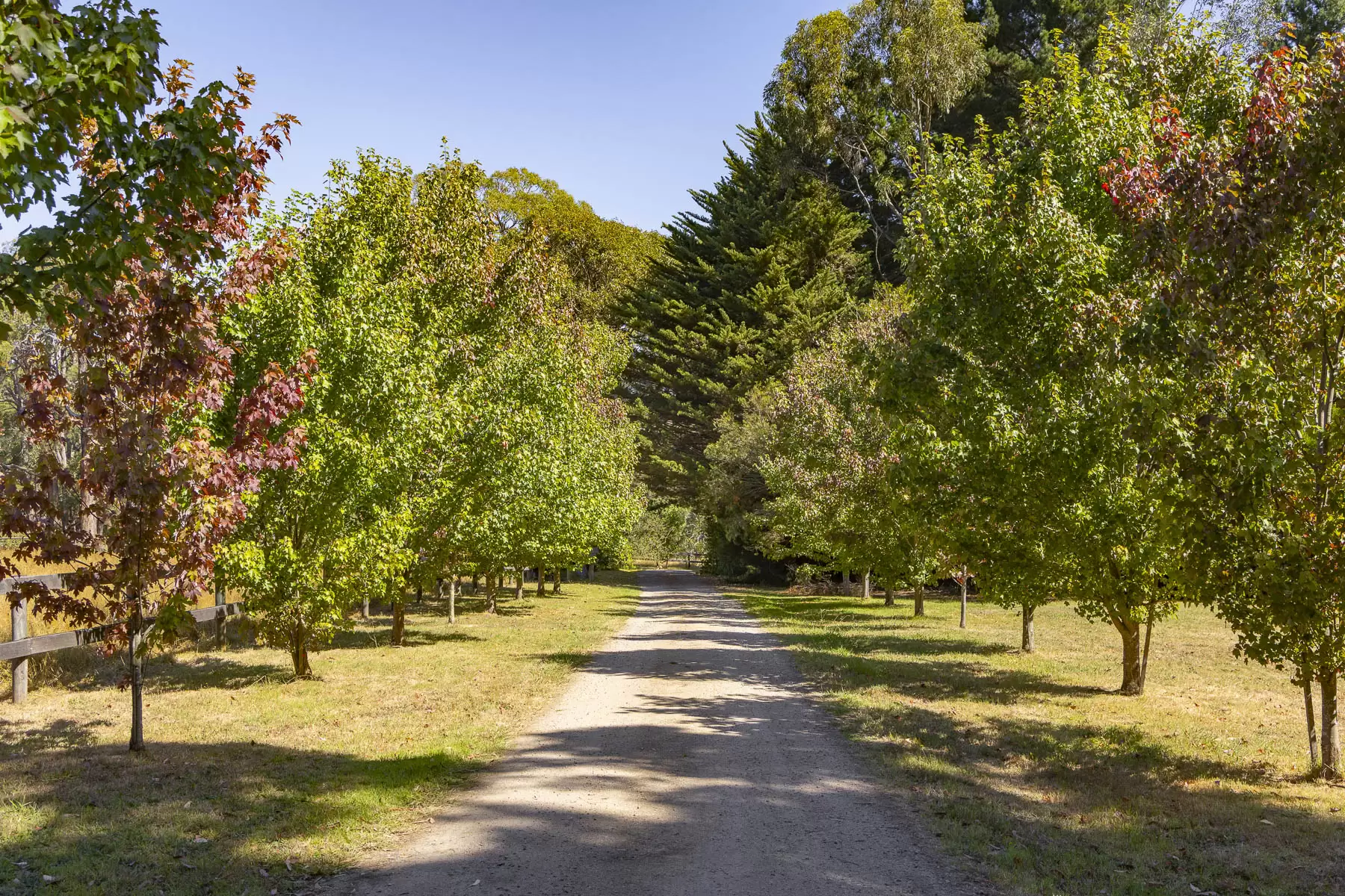 101 Stanleys Road, Red Hill South For Sale by Melbourne Sotheby's International Realty - image 3
