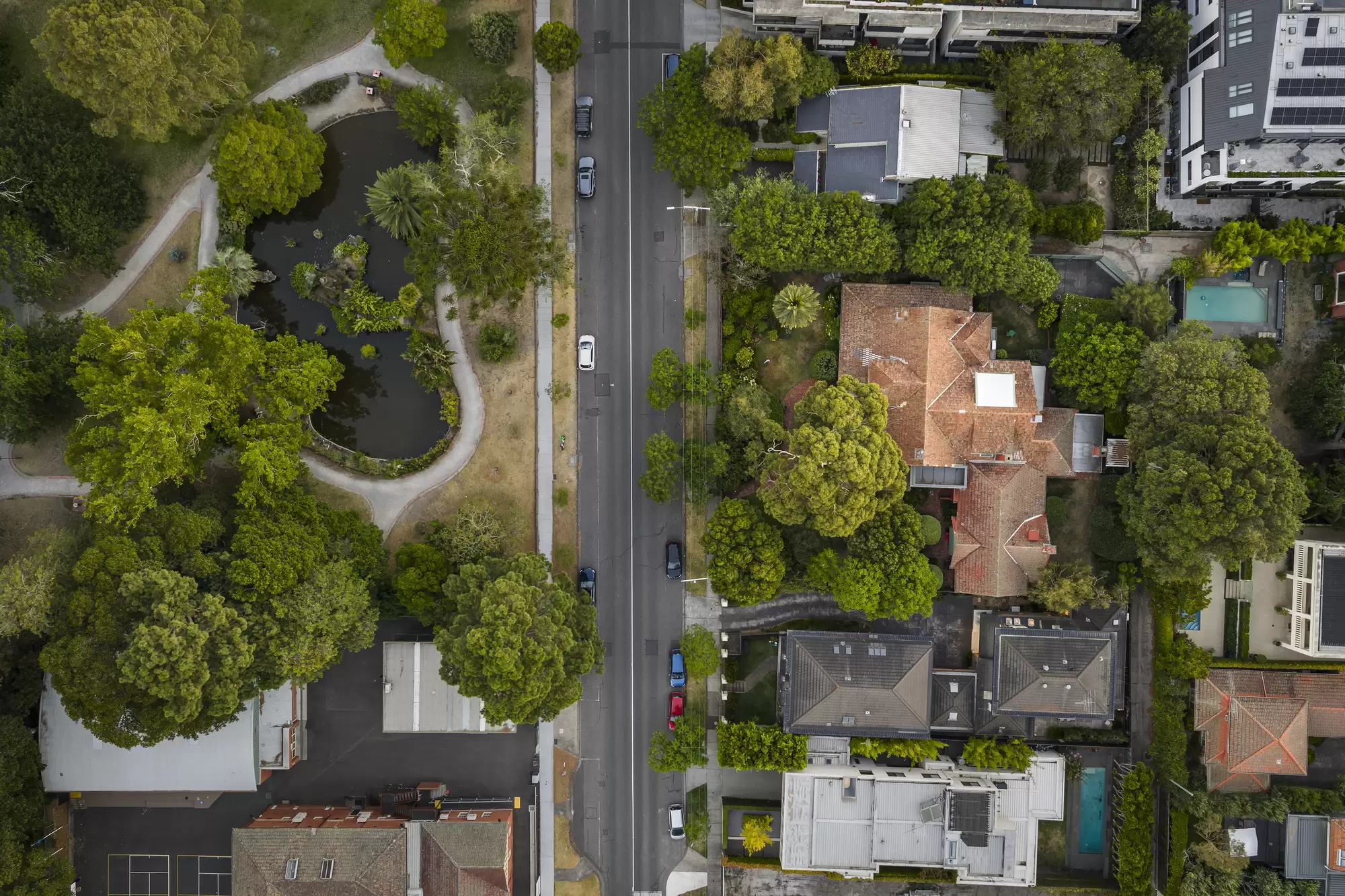 2/1A Spring Road, Malvern Sold by Melbourne Sotheby's International Realty - image 13