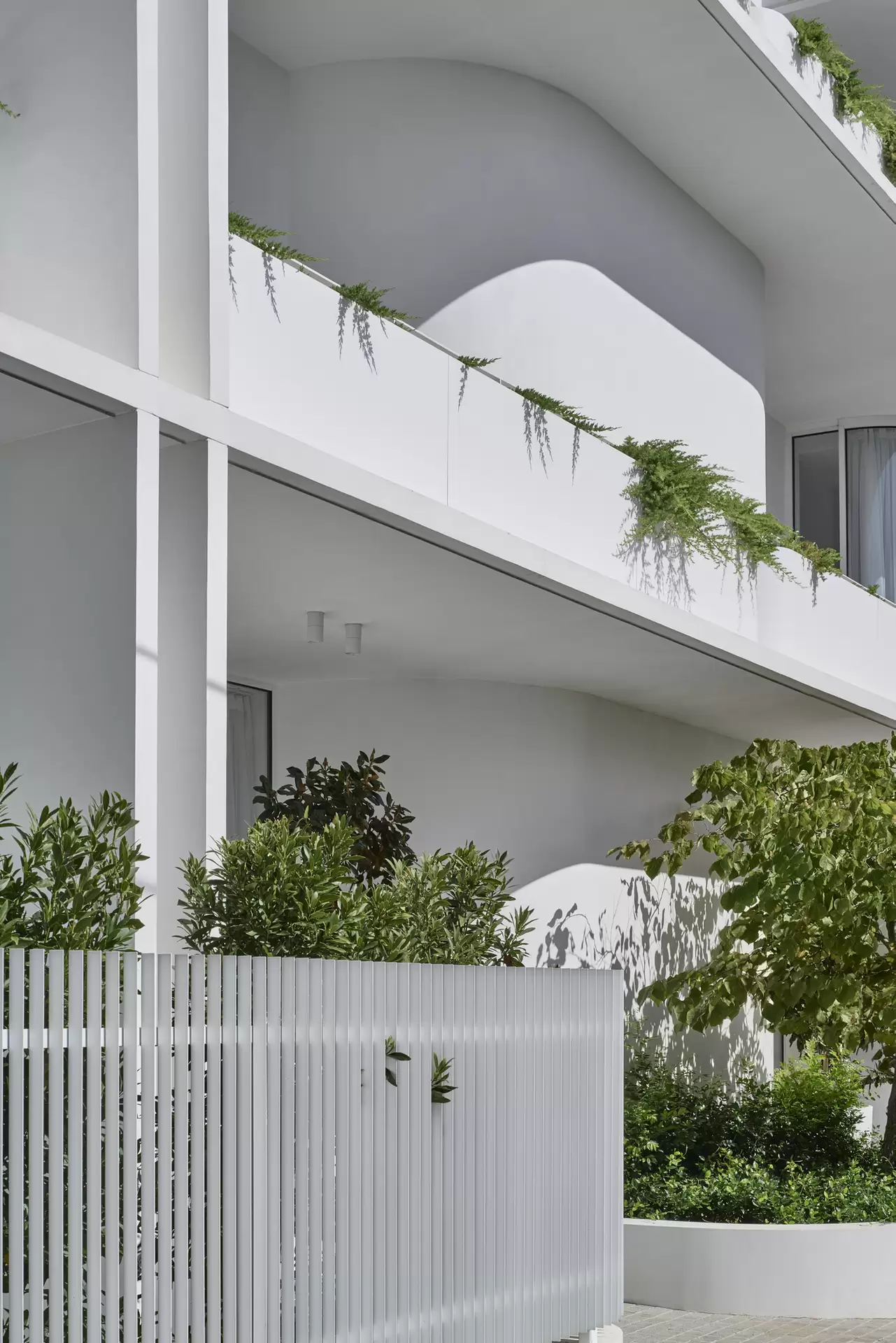 20A Black Street, Brighton For Sale by Melbourne Sotheby's International Realty - image 1