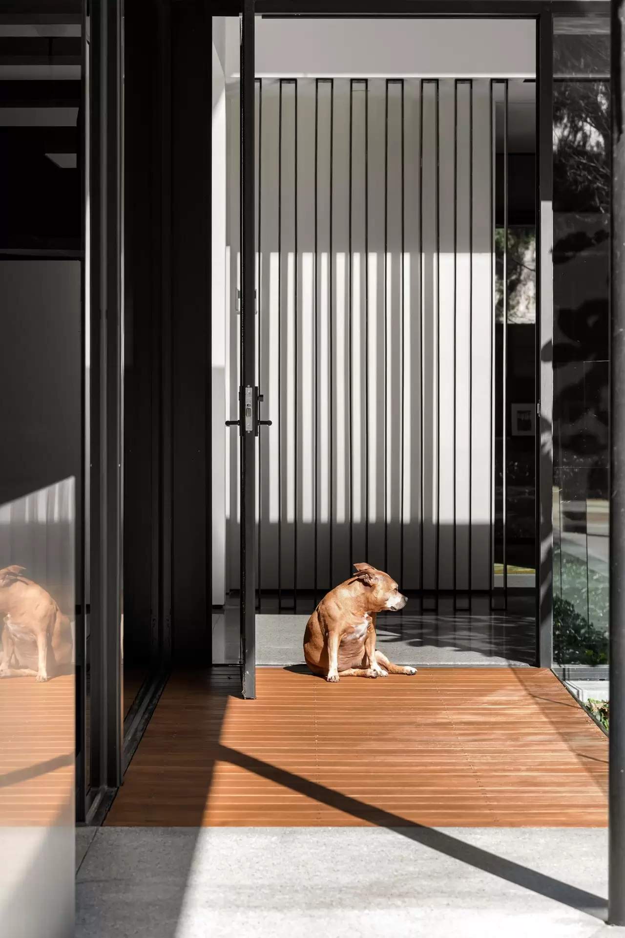 23 Wolseley Grove, Brighton Expressions of Interest by Melbourne Sotheby's International Realty - image 1