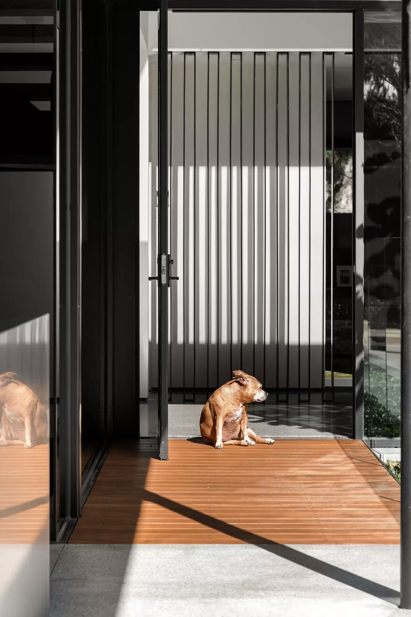 23 Wolseley Grove, Brighton Expressions of Interest by Melbourne Sotheby's International Realty - image 17