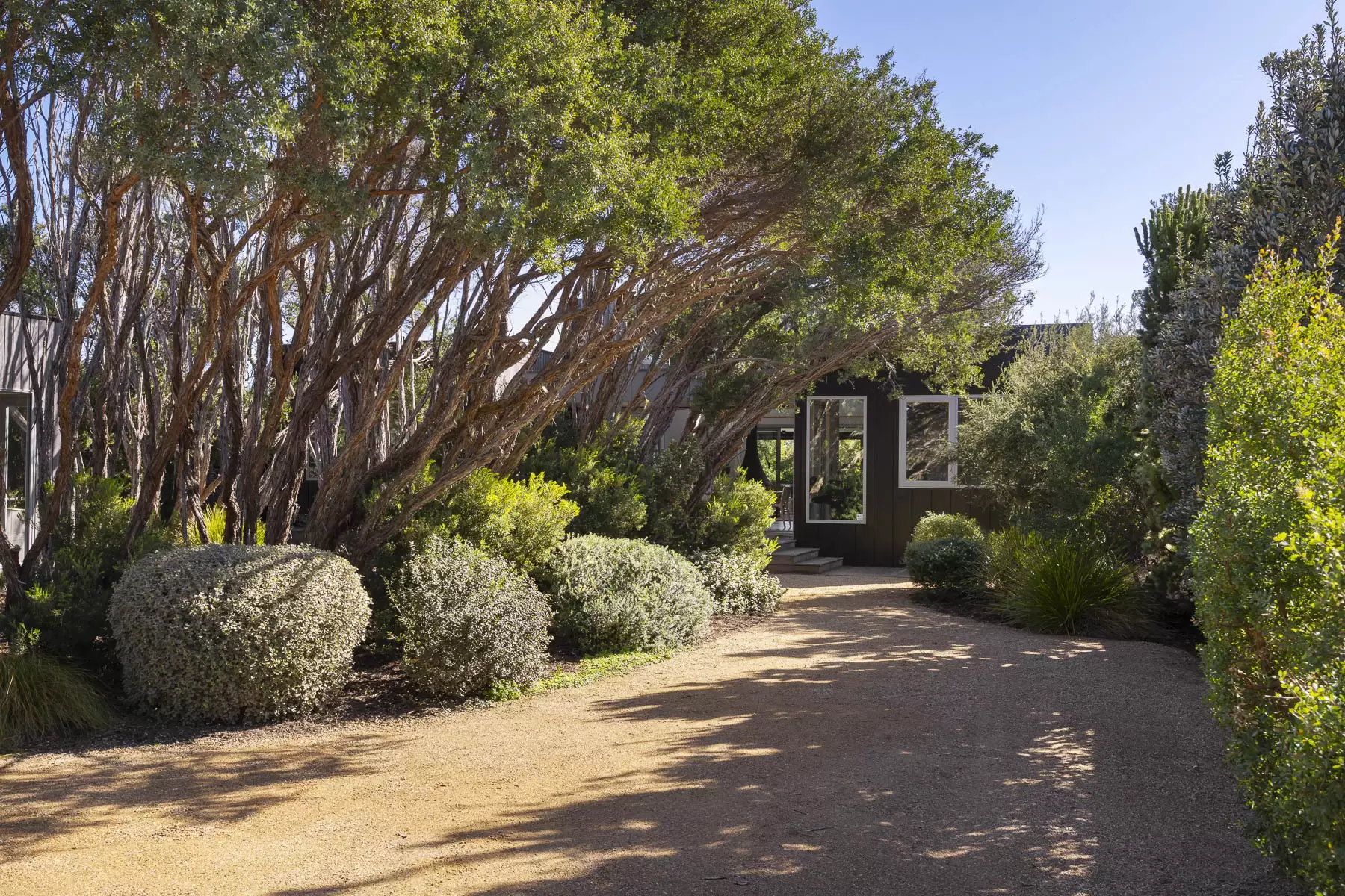 26 Munro Street, Blairgowrie For Sale by Melbourne Sotheby's International Realty - image 3